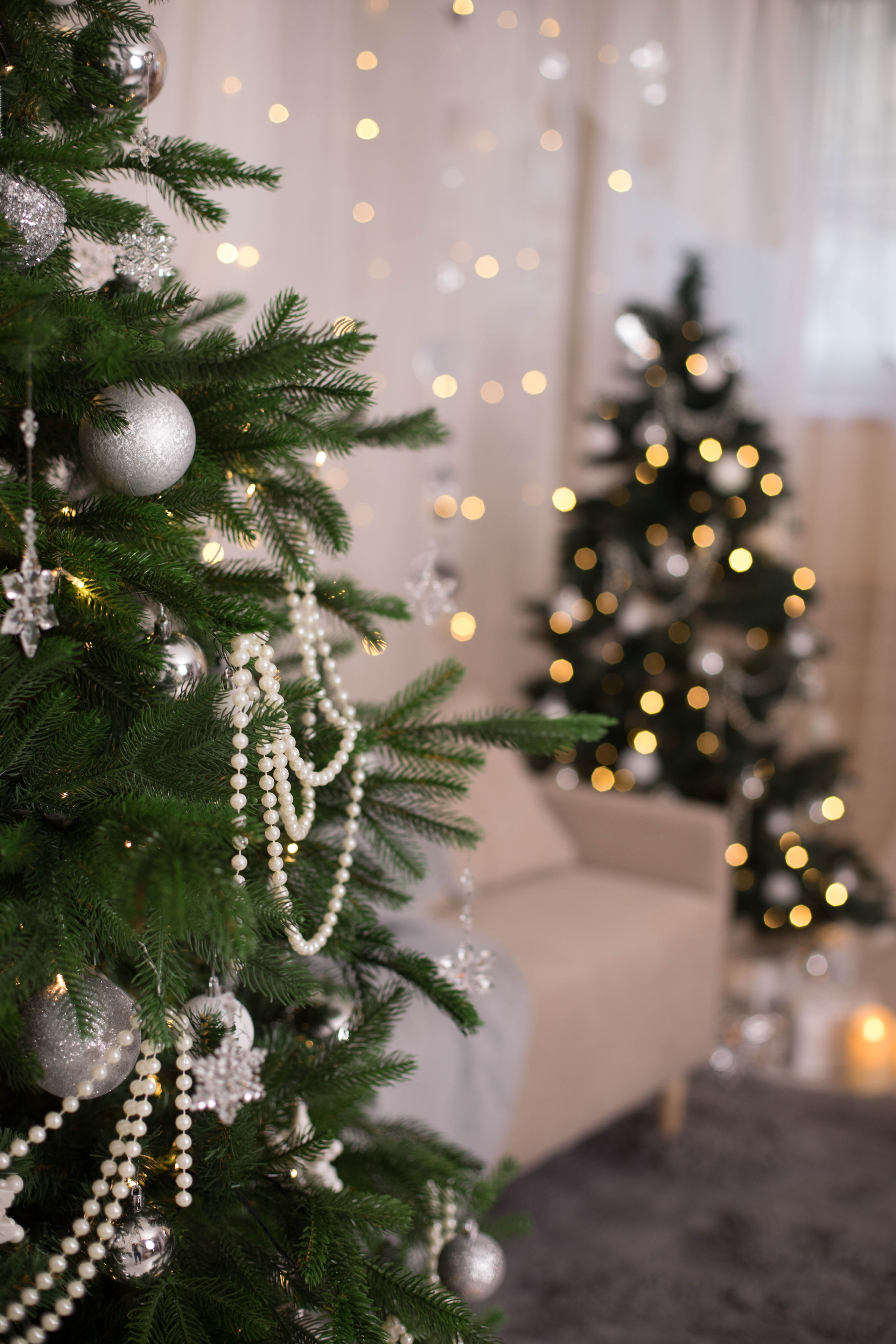 Рока (Roka). Фотограф г. Хабаровск. Семейные и индивидуальные съёмки