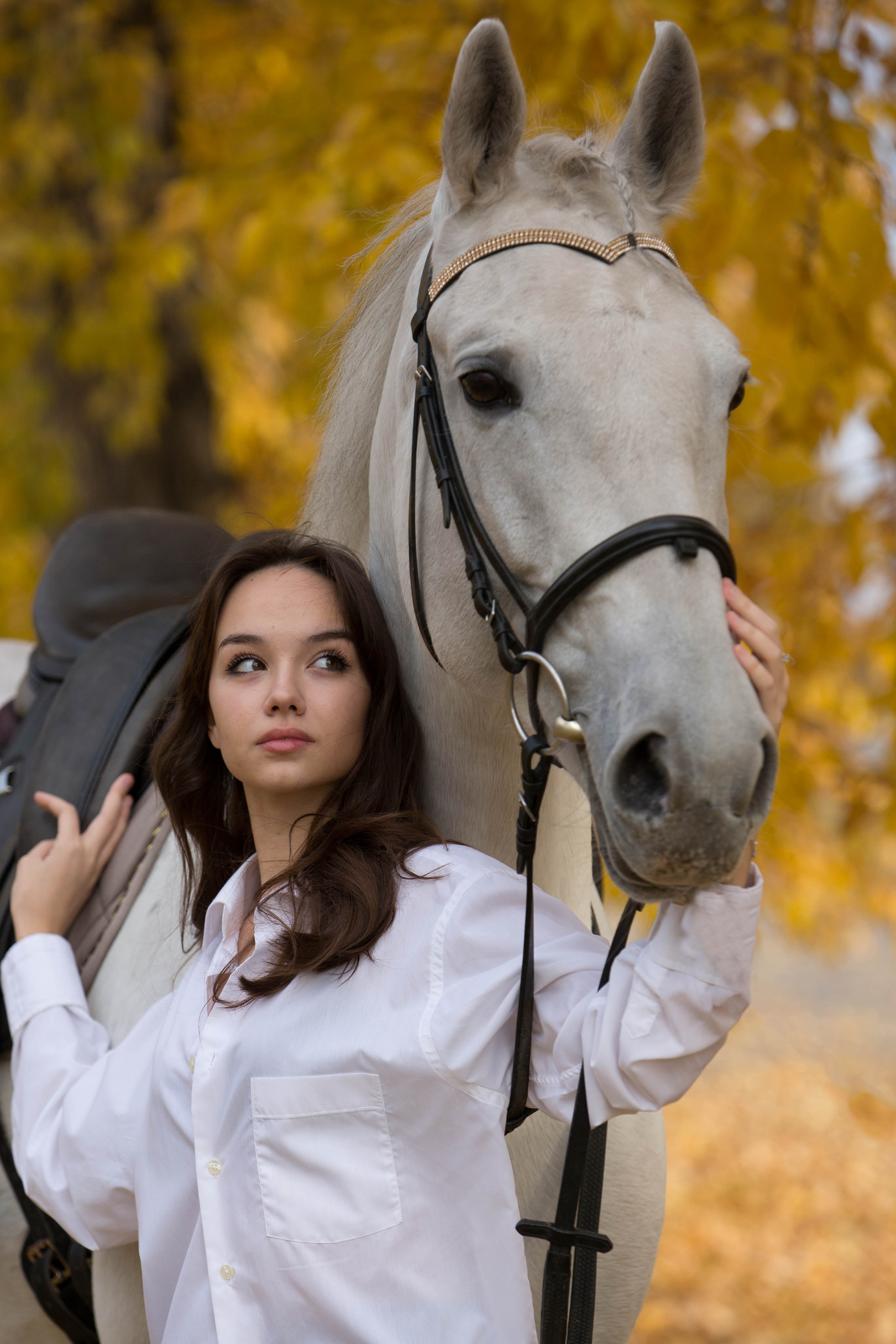 Зина и Пэрис. Конный фотограф в Красноярске — Любовь Похабова