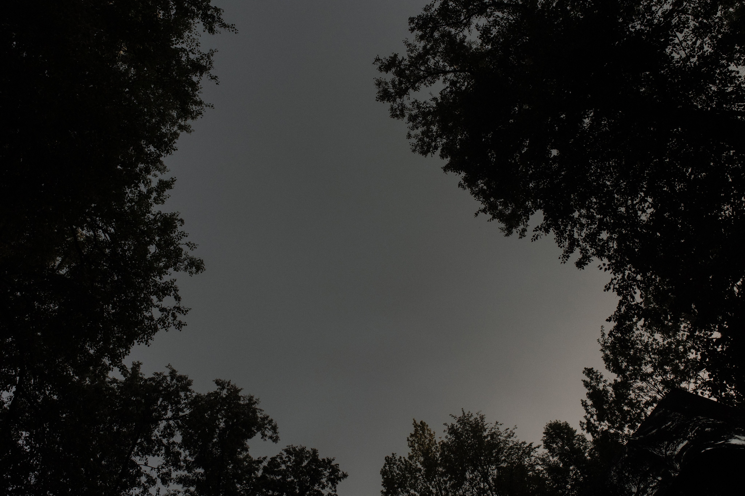 WED DAY 11/08. Свадебный фотограф в Москве Дмитрий Тарасов