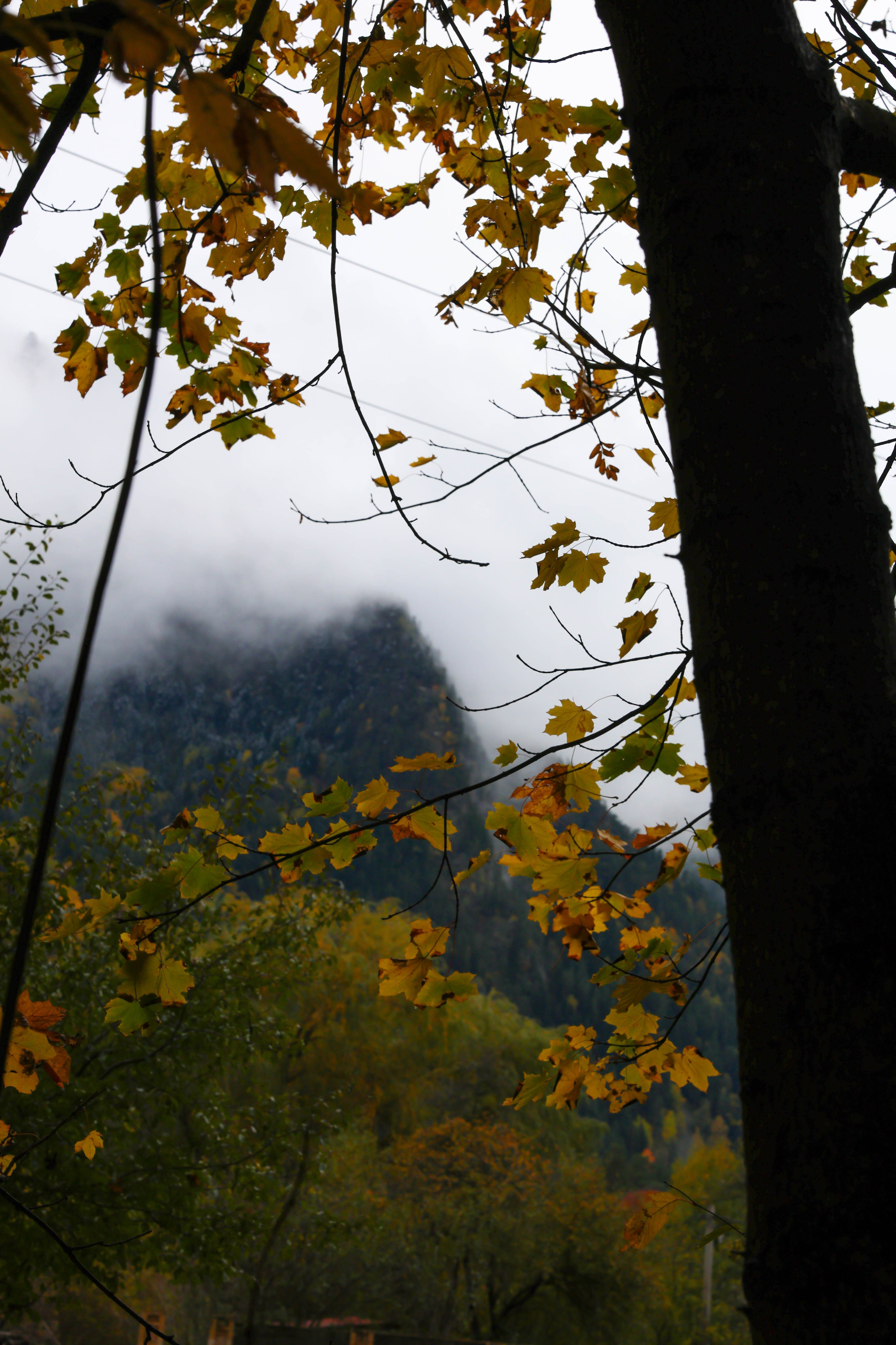Фотограф Мария Алексеева. Мария Алексеева. Фотограф в Москве