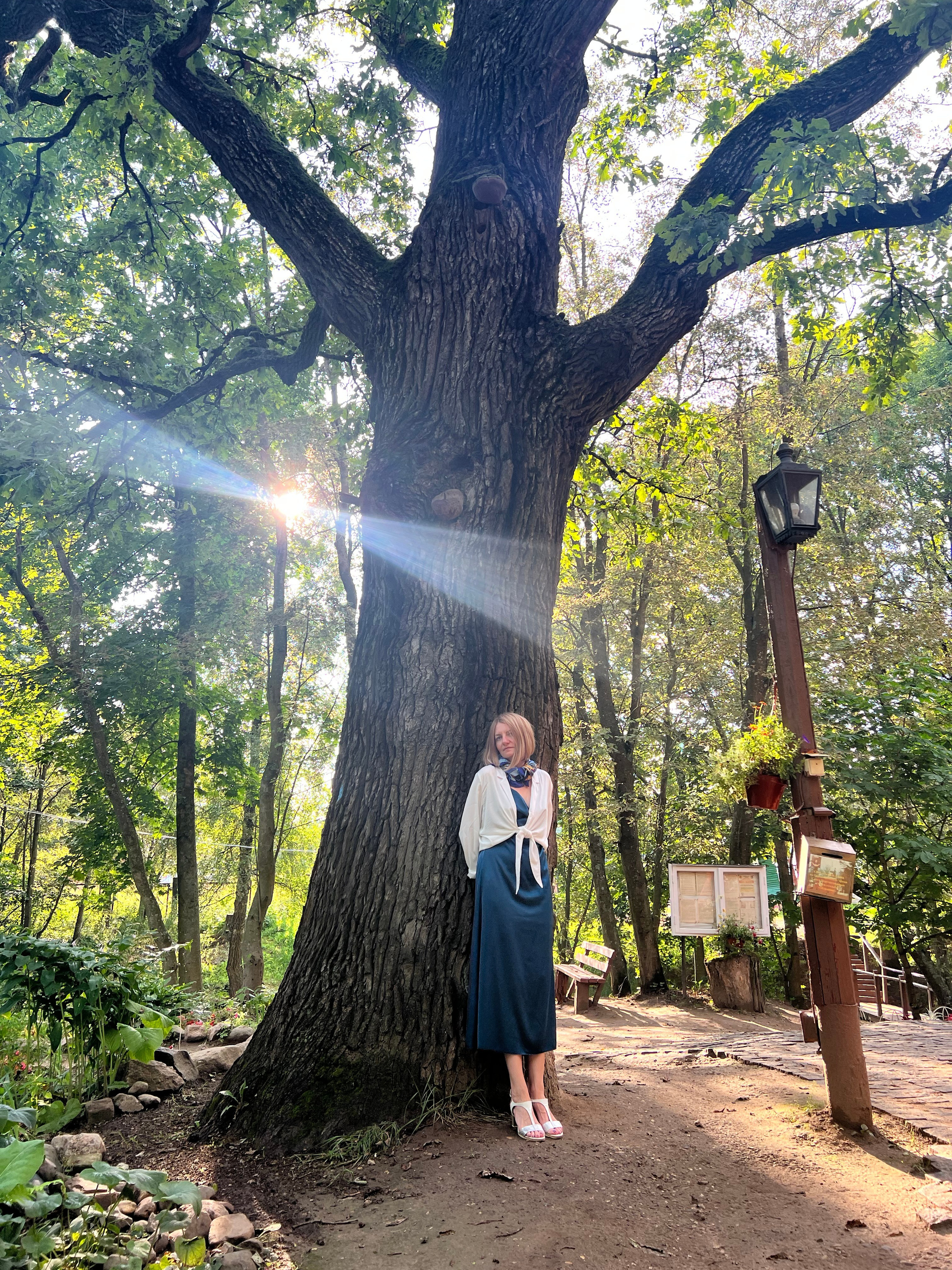 Радонежье. Путешествия со смыслом