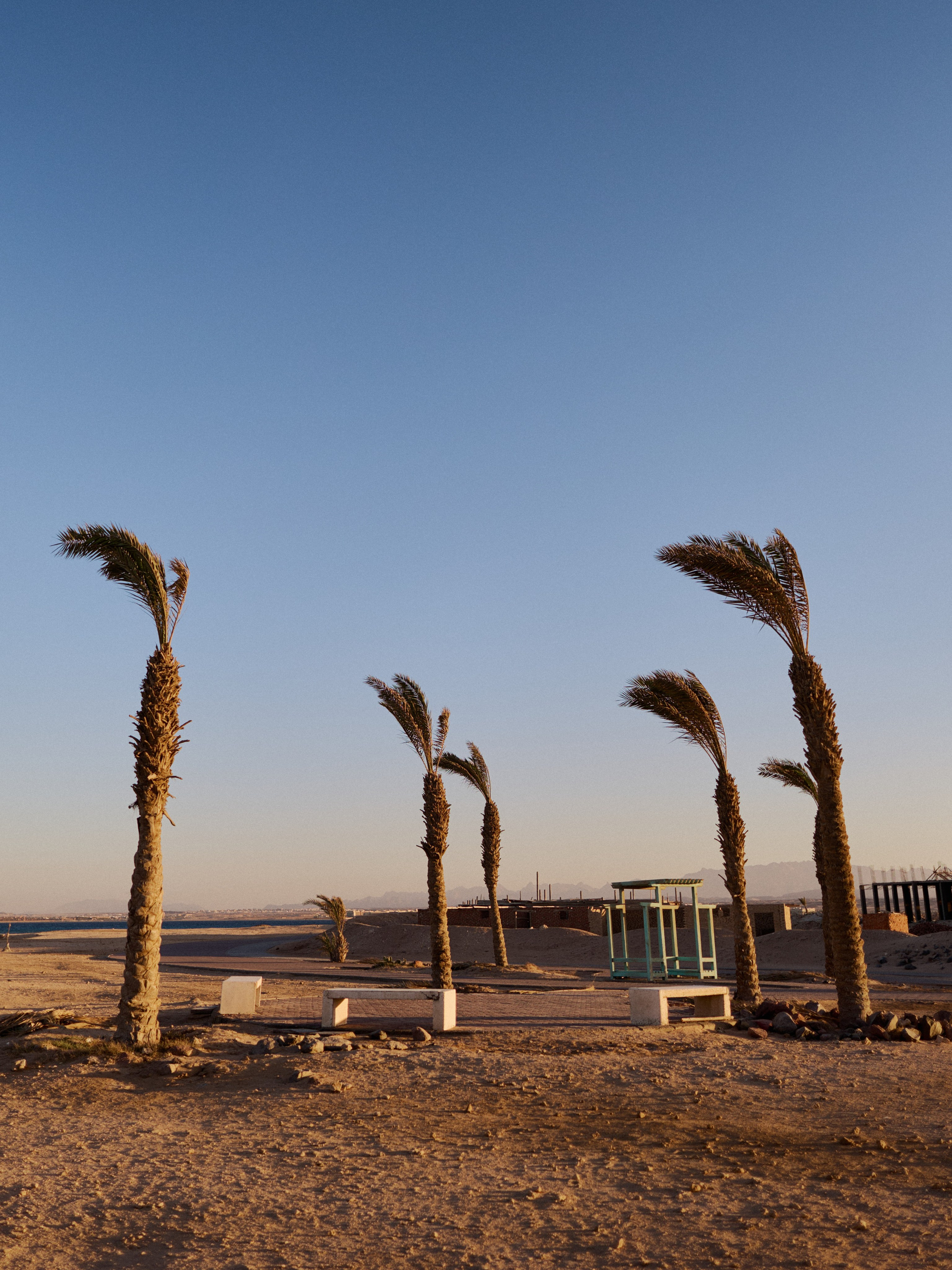 Другое 2. Jorgis Talè — photographer, kind person, teacher of arts and other mag