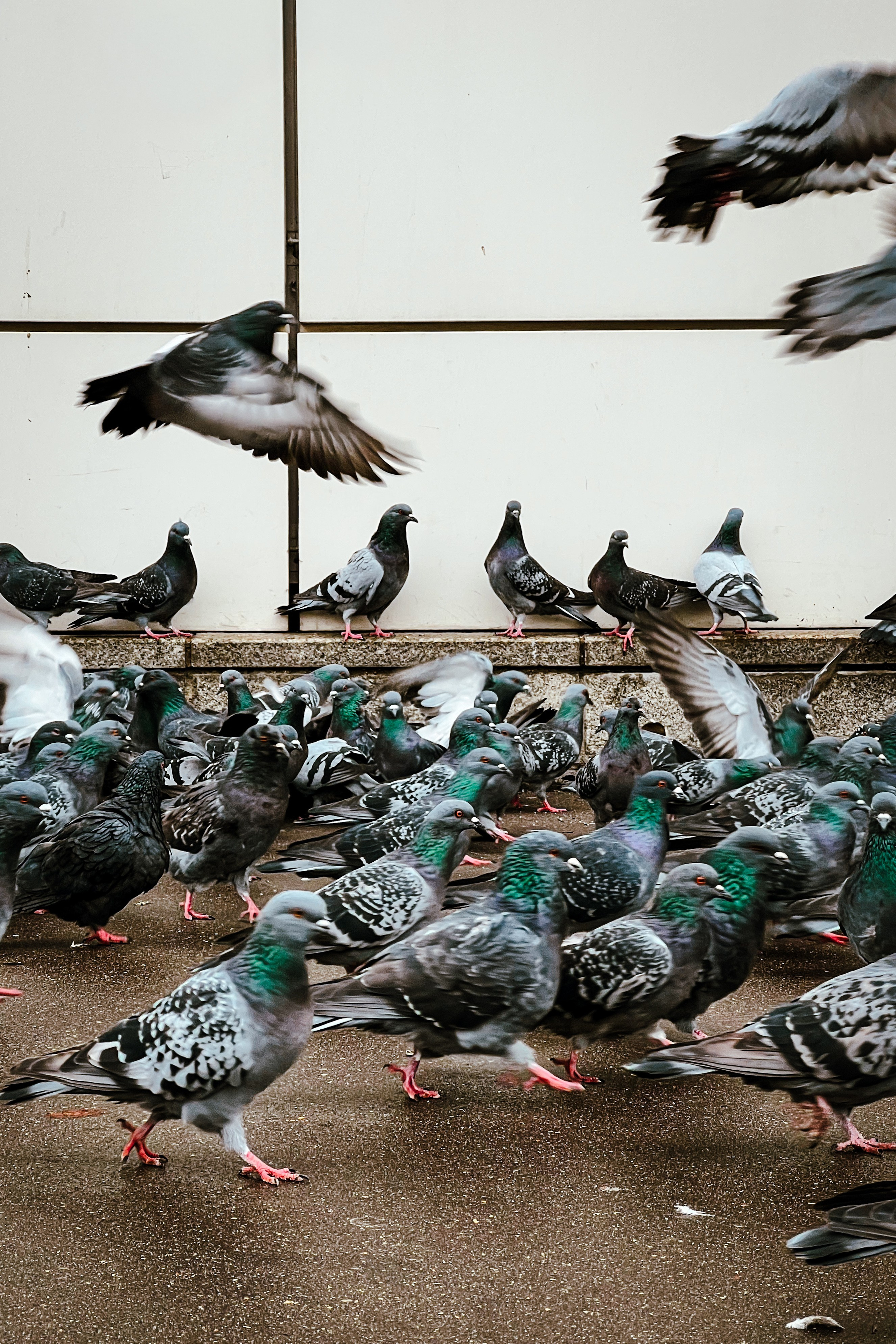 Стрит фото Москва. Фотограф Лобанов Антон, г. Москва