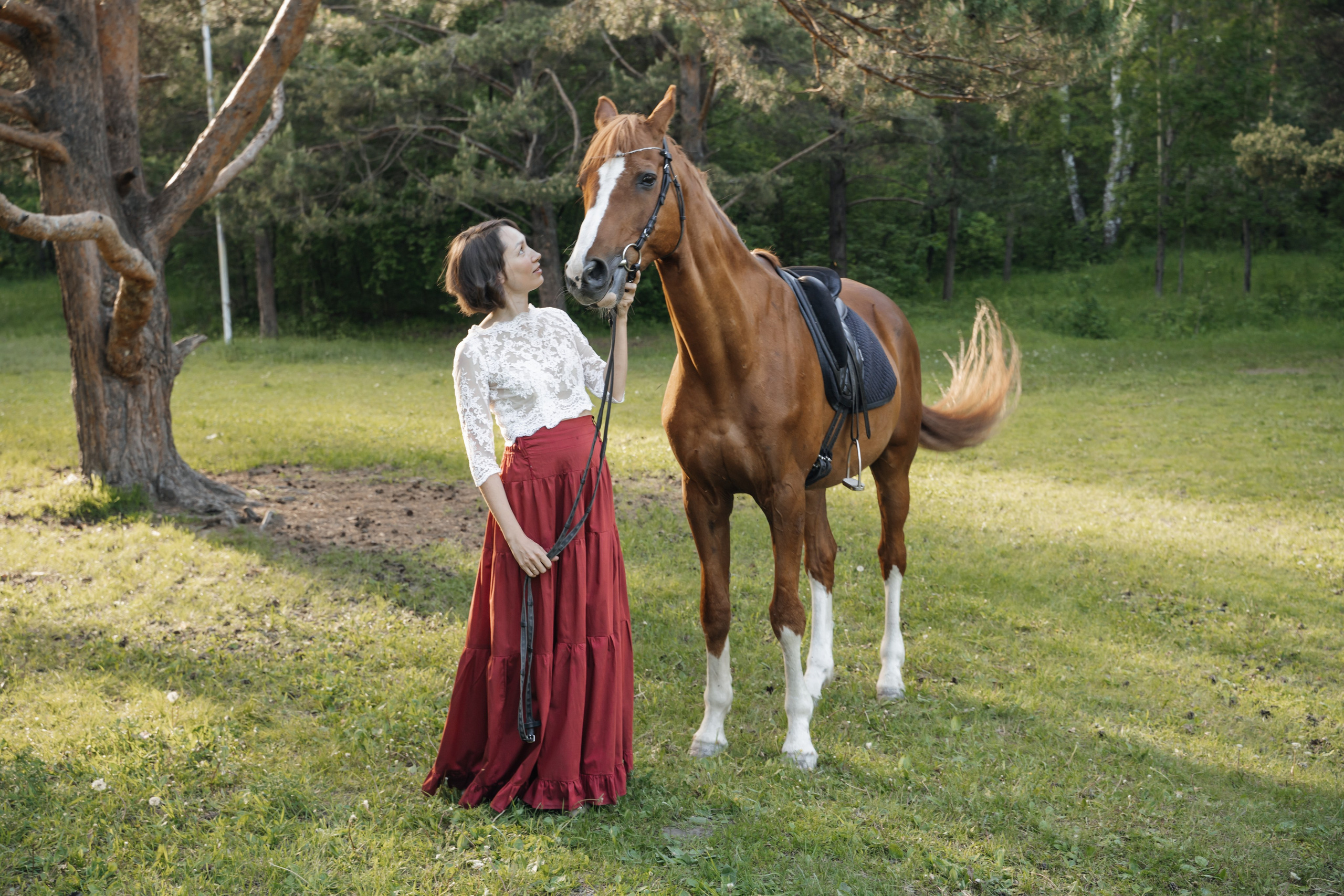 Семейная история с лошадьми. Главная