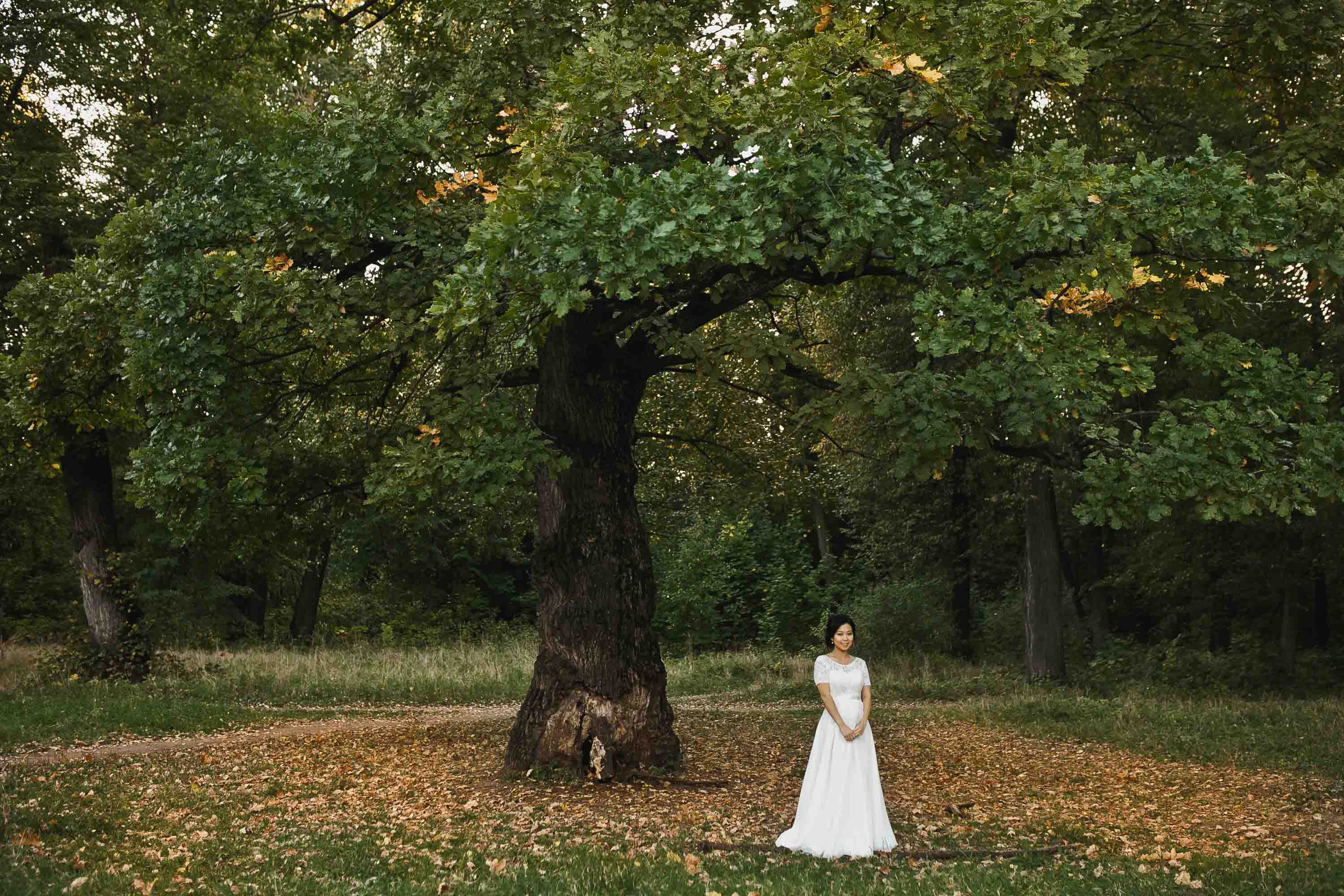 Прогулка в усадьбе Суханово после регистрации. Фотограф в Москве (готова приехать к вам в город)