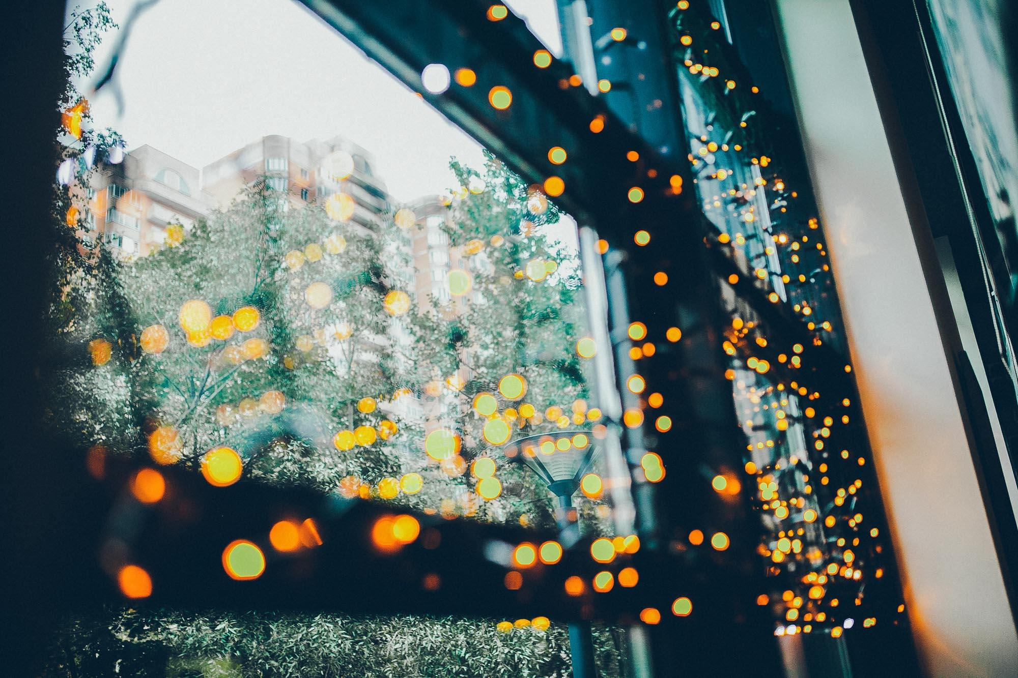 Свадьба Кати и Димы. Домашние сборы и прогулка в Мещерском парке. Фотограф в Москве (готова приехать к вам в город)