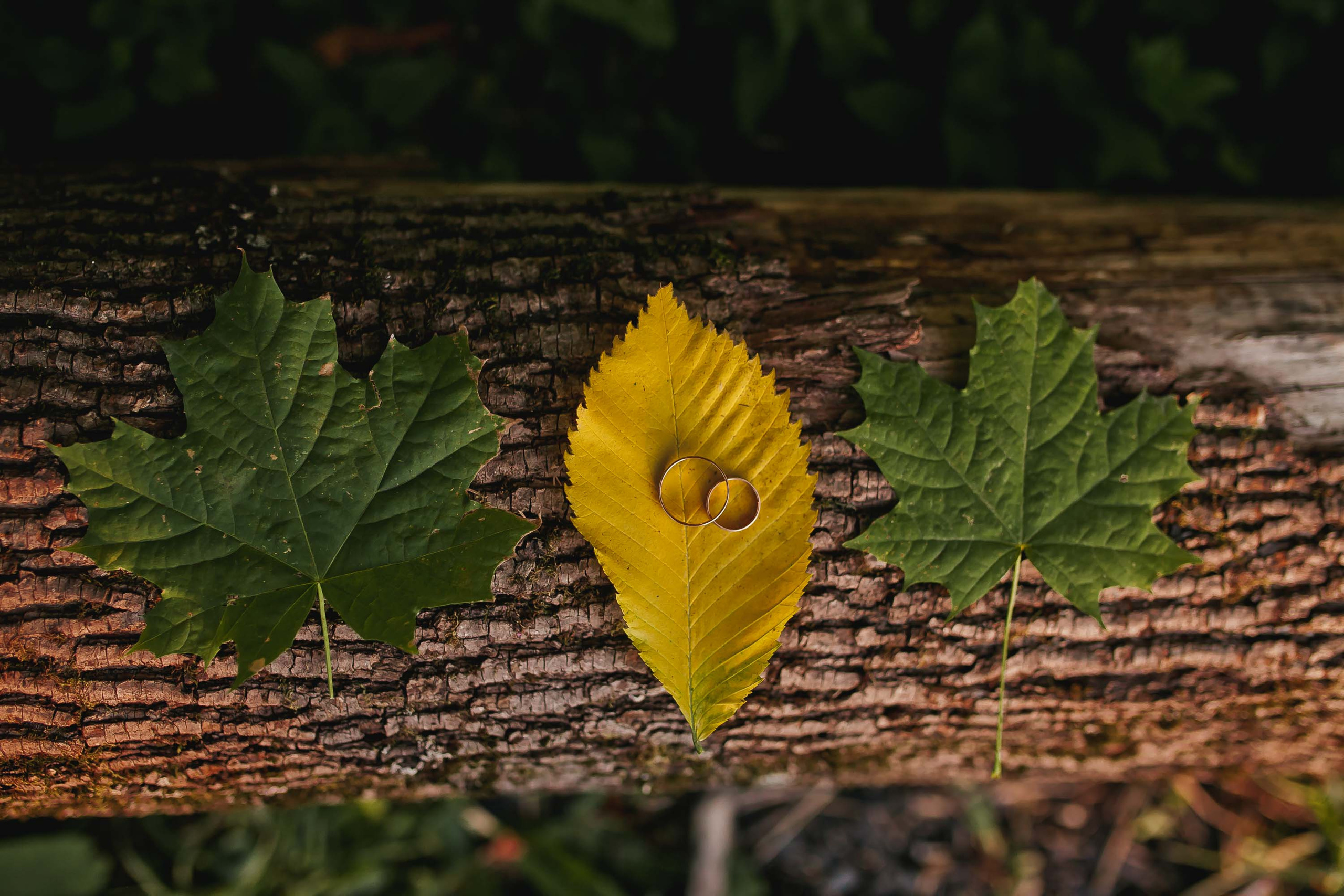 Прогулка в усадьбе Суханово после регистрации. Фотограф в Москве (готова приехать к вам в город)