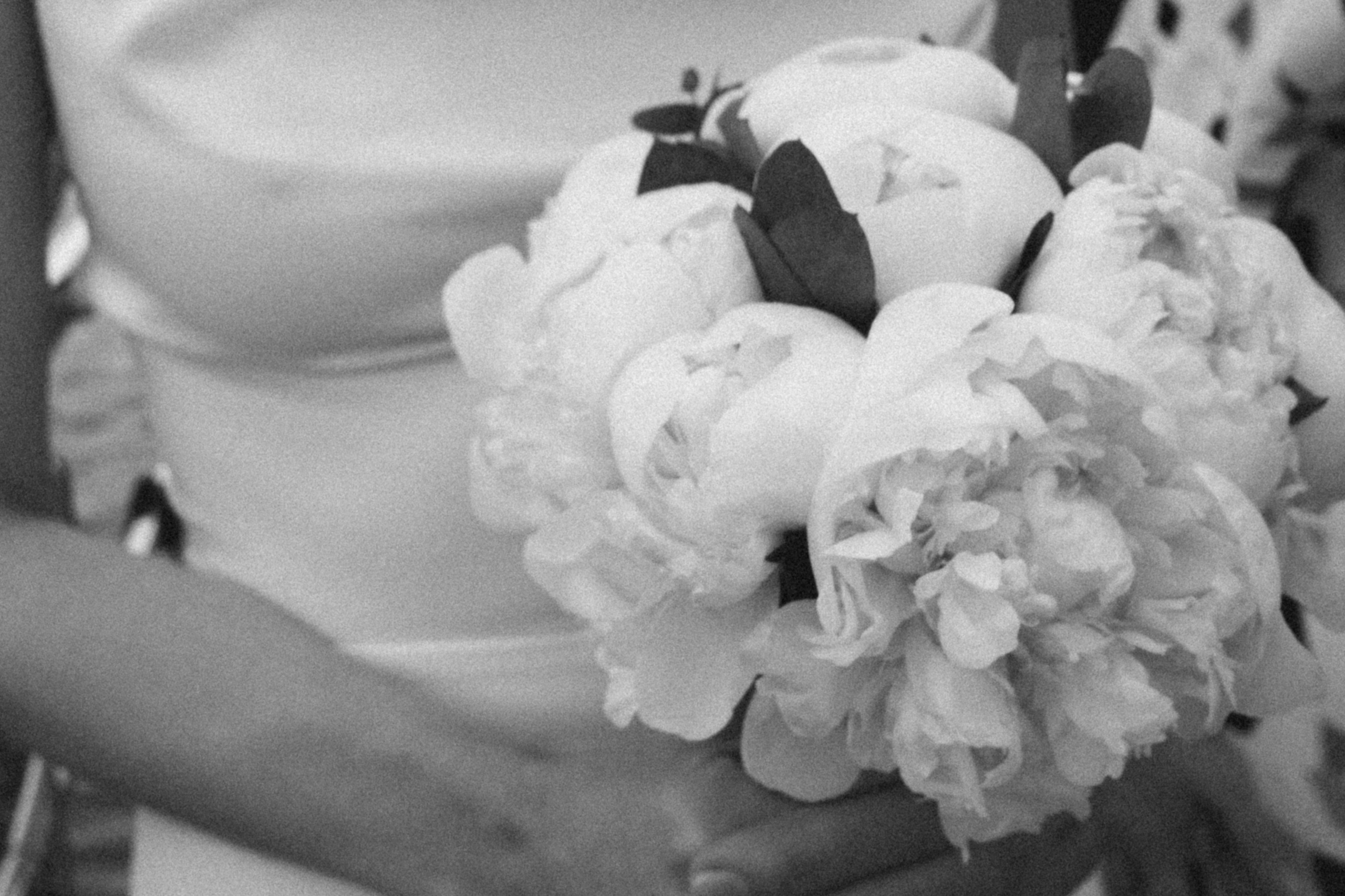 11.07.2023 Света и Женя (регистрация на теплоходе). Фотограф в Москве (готова приехать к вам в город)