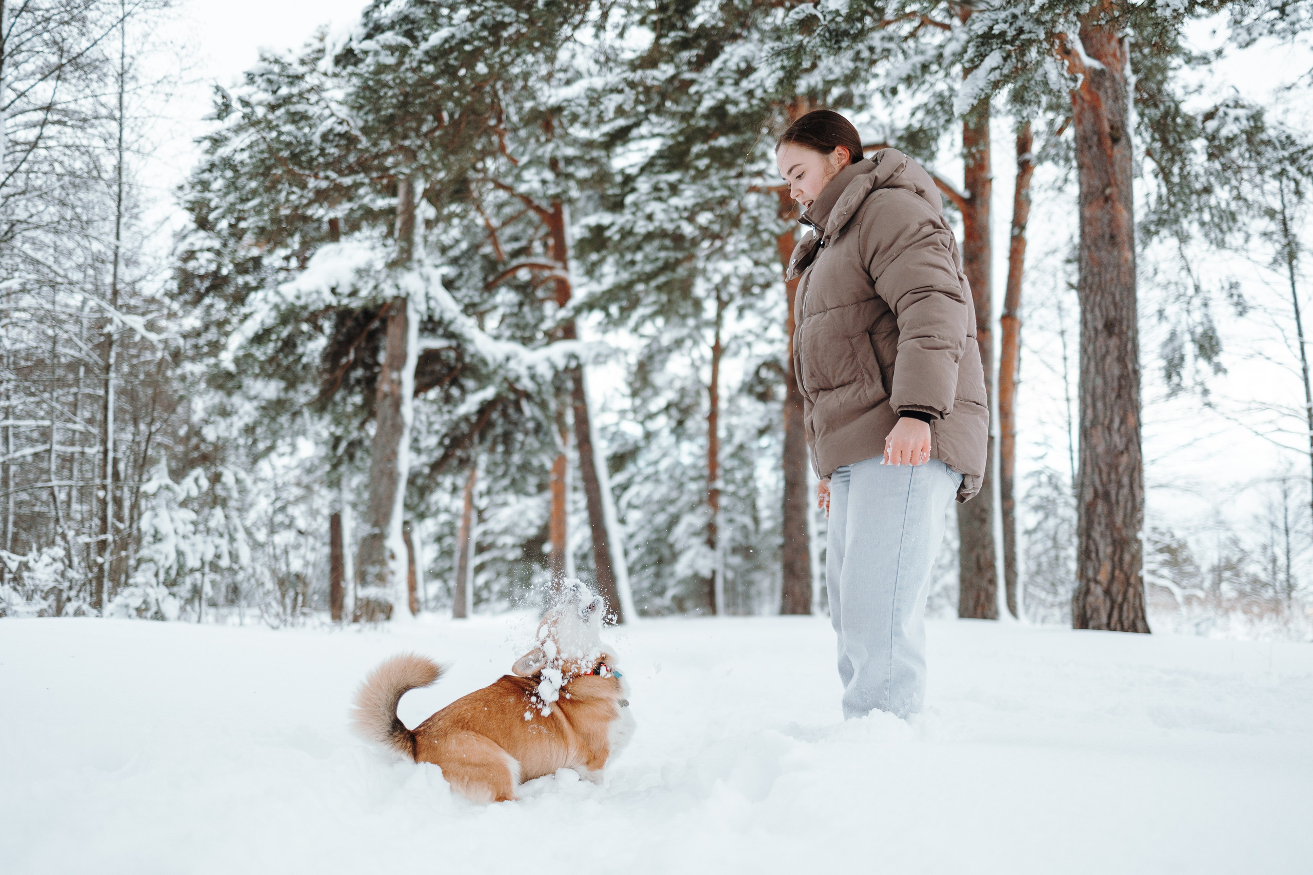 Оливка и ее семья. Фотограф — Анималист | Санкт-Петербург