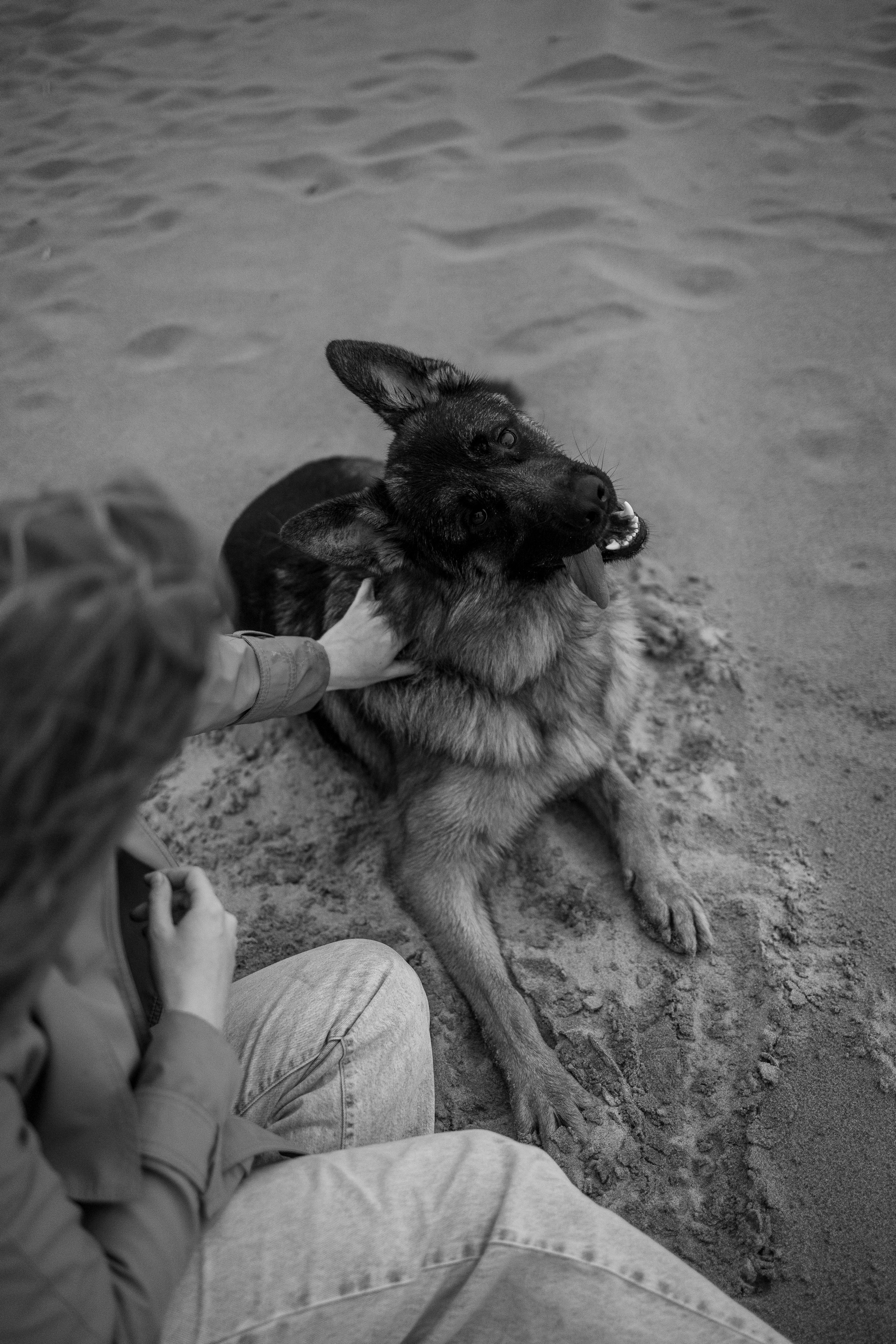 Катя и Агат. Фотограф — Анималист | Санкт-Петербург