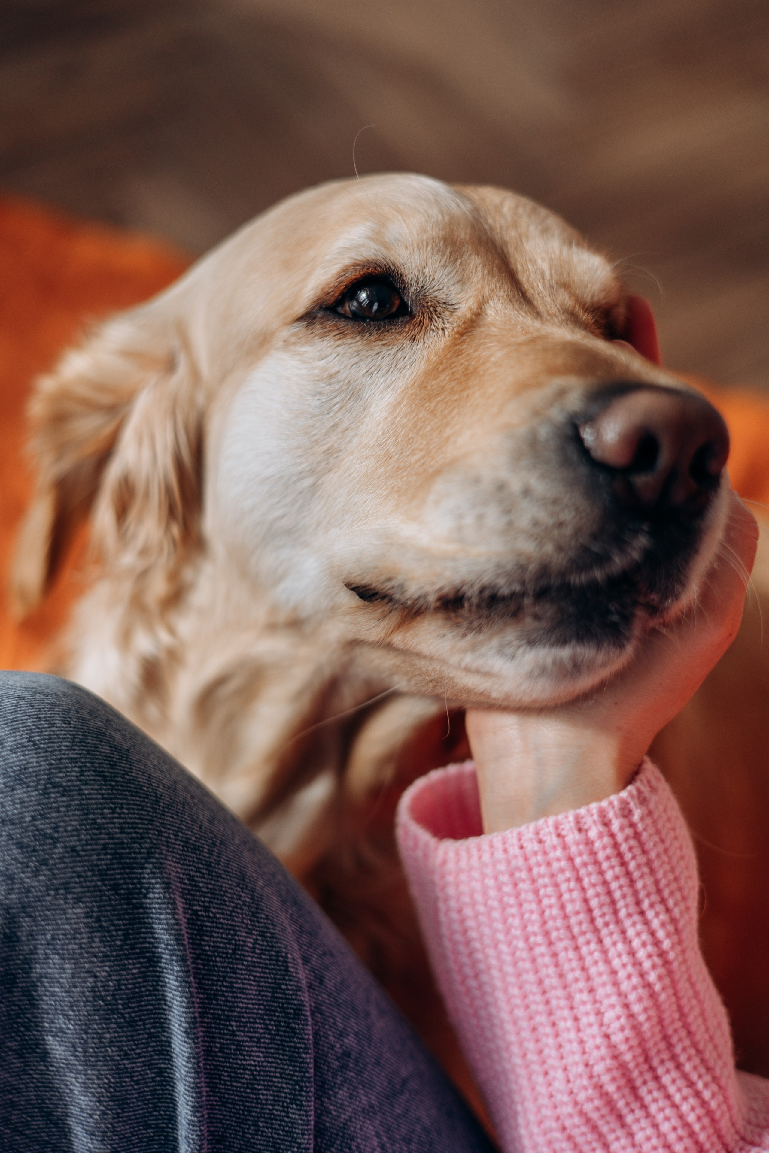 Марина и Чили. Фотограф — Анималист | Санкт-Петербург