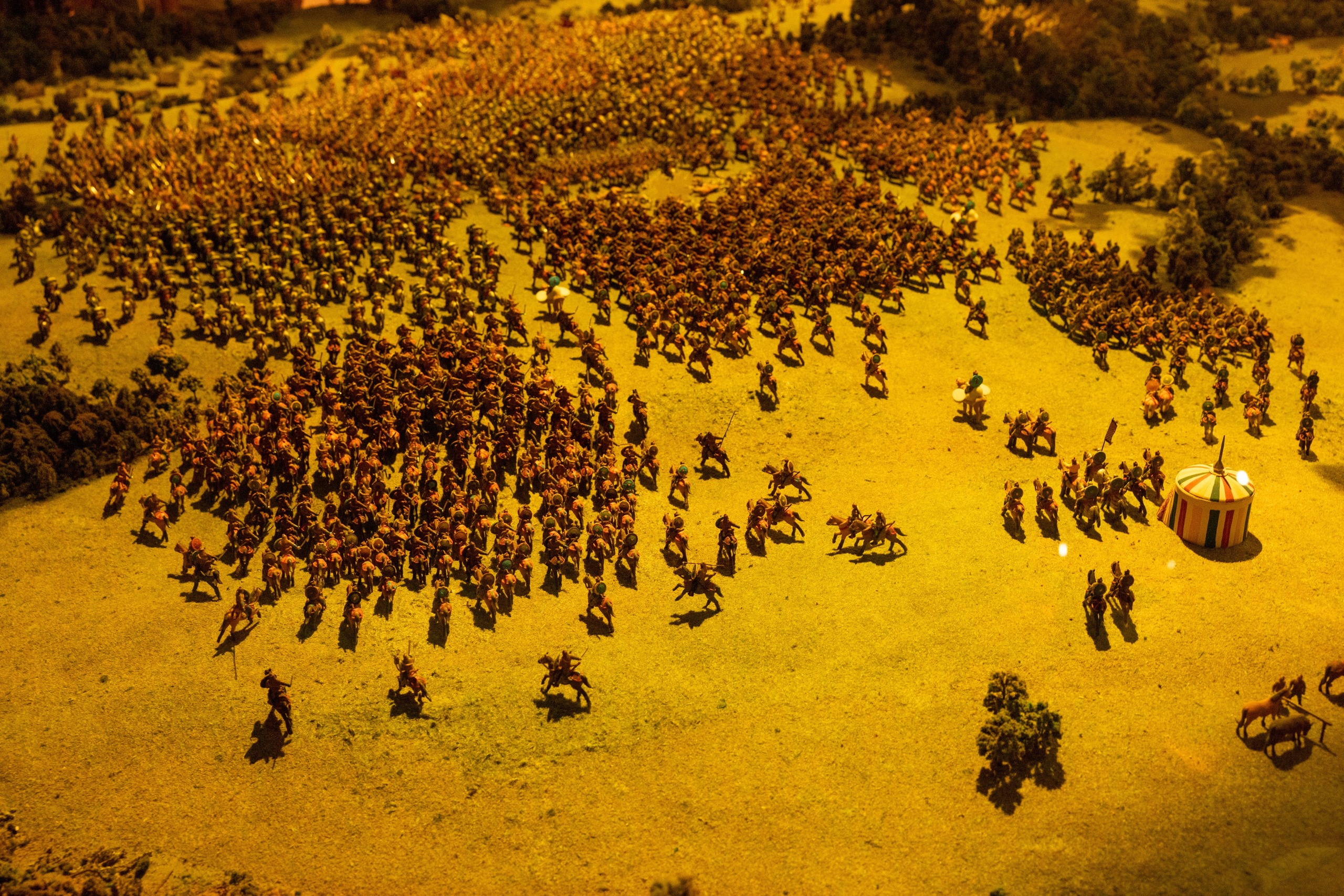 Поездка на поле Кулеково. Фотограф в Туле Крупский АнДРей. Фотостудия «КАДР71» в Туле