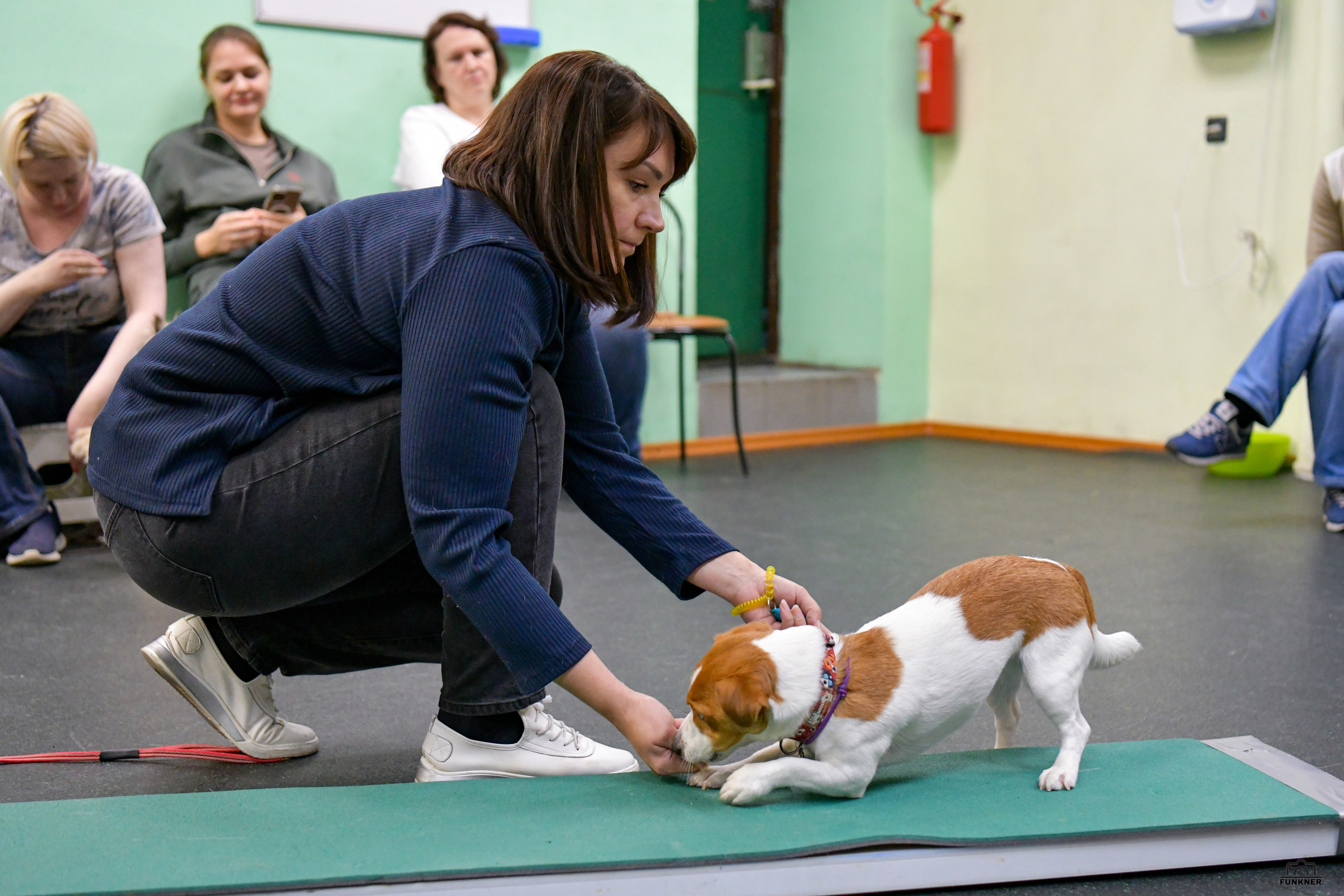 Кинологический клуб «Бодрый хвост». Свой взгляд через объектив