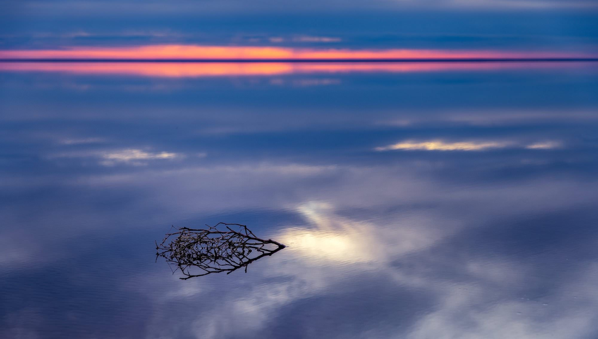 Elton. Вадим Щербаков | архитектурный фотограф