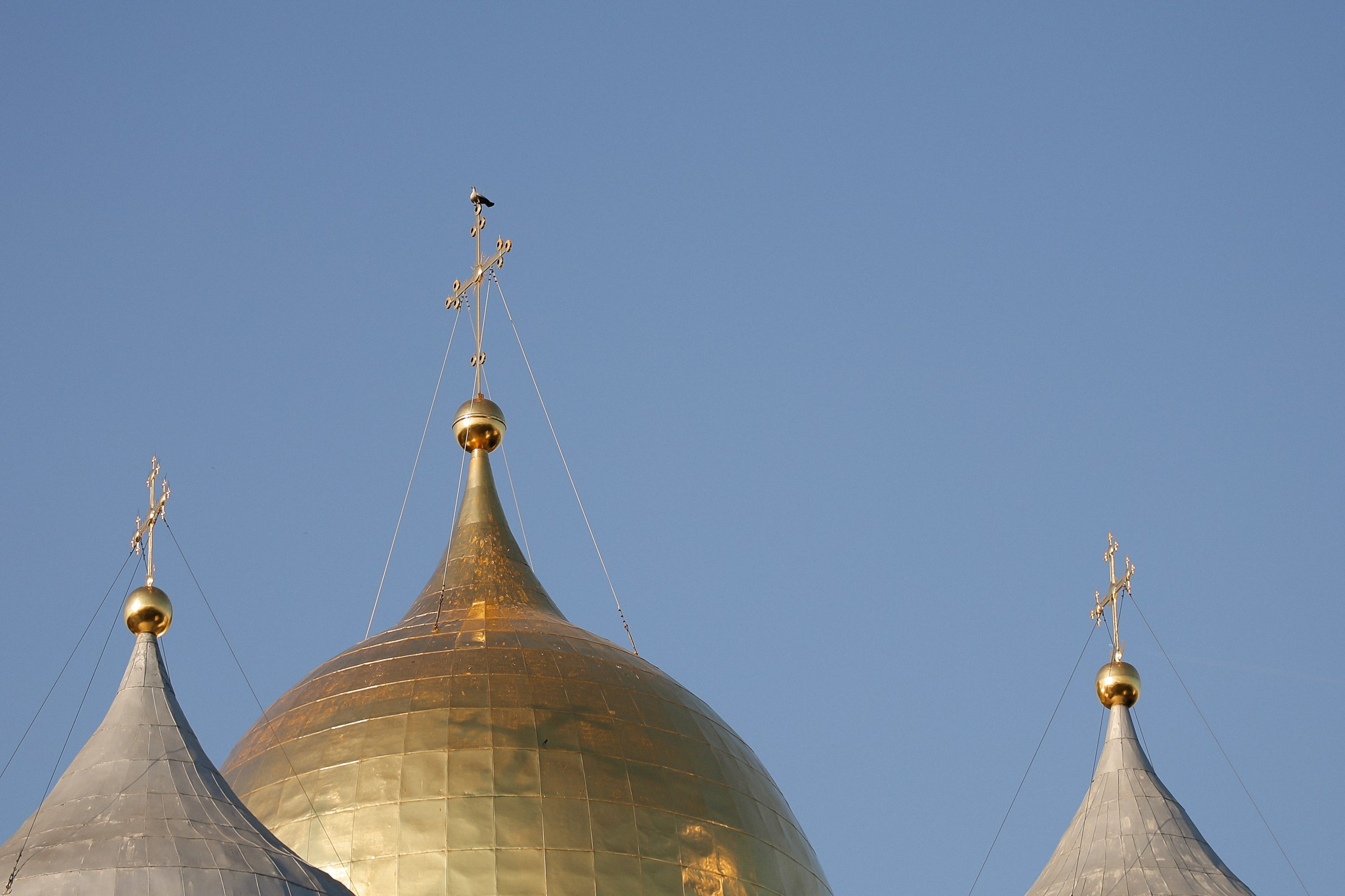 /РЕПОРТАЖ/ SC Johnson корпоративное мероприятие. Свадебный фотограф Великий Новгород Станислав Кособудский