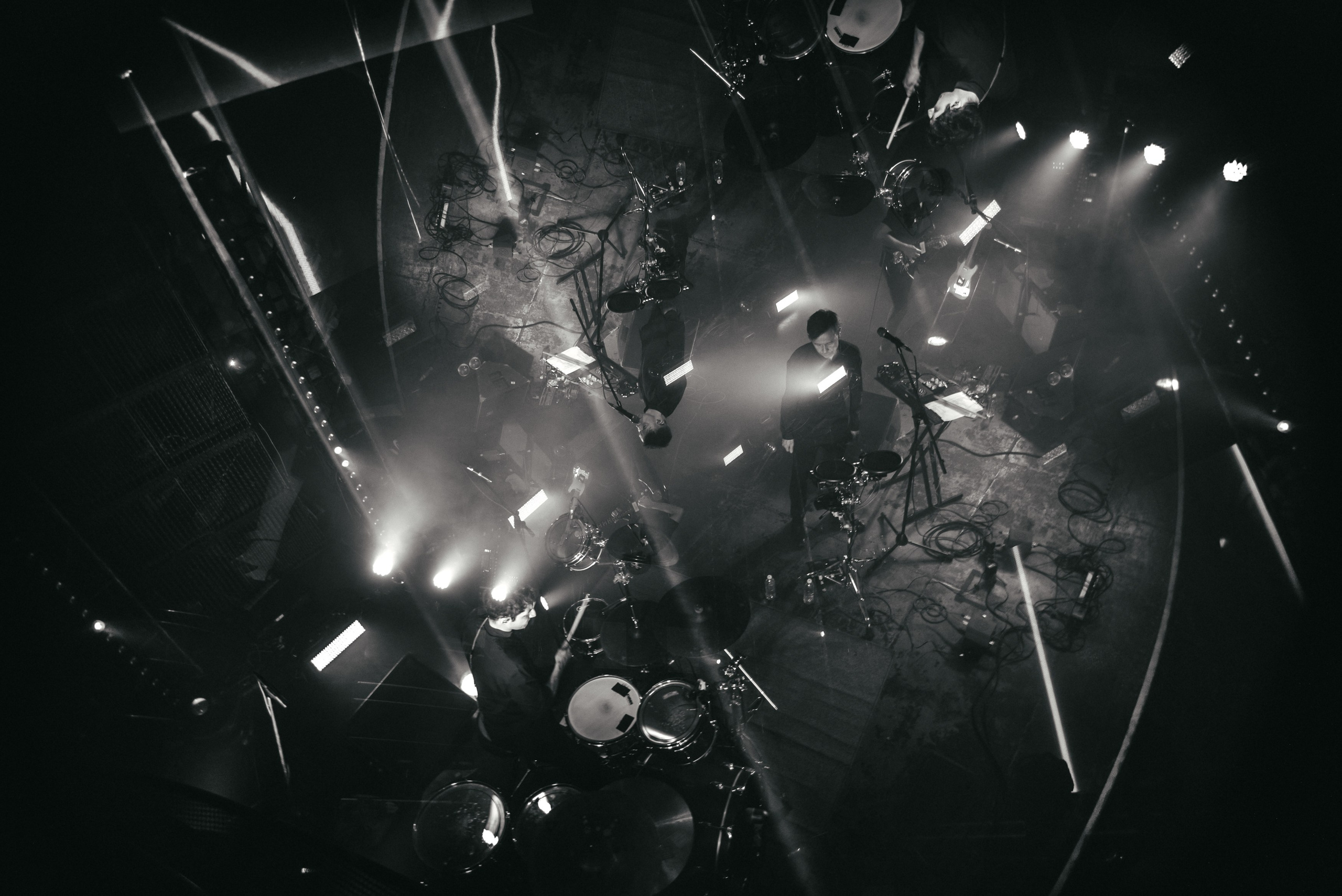 Дельфин | Gaudi. Контент фотограф Илья Урс