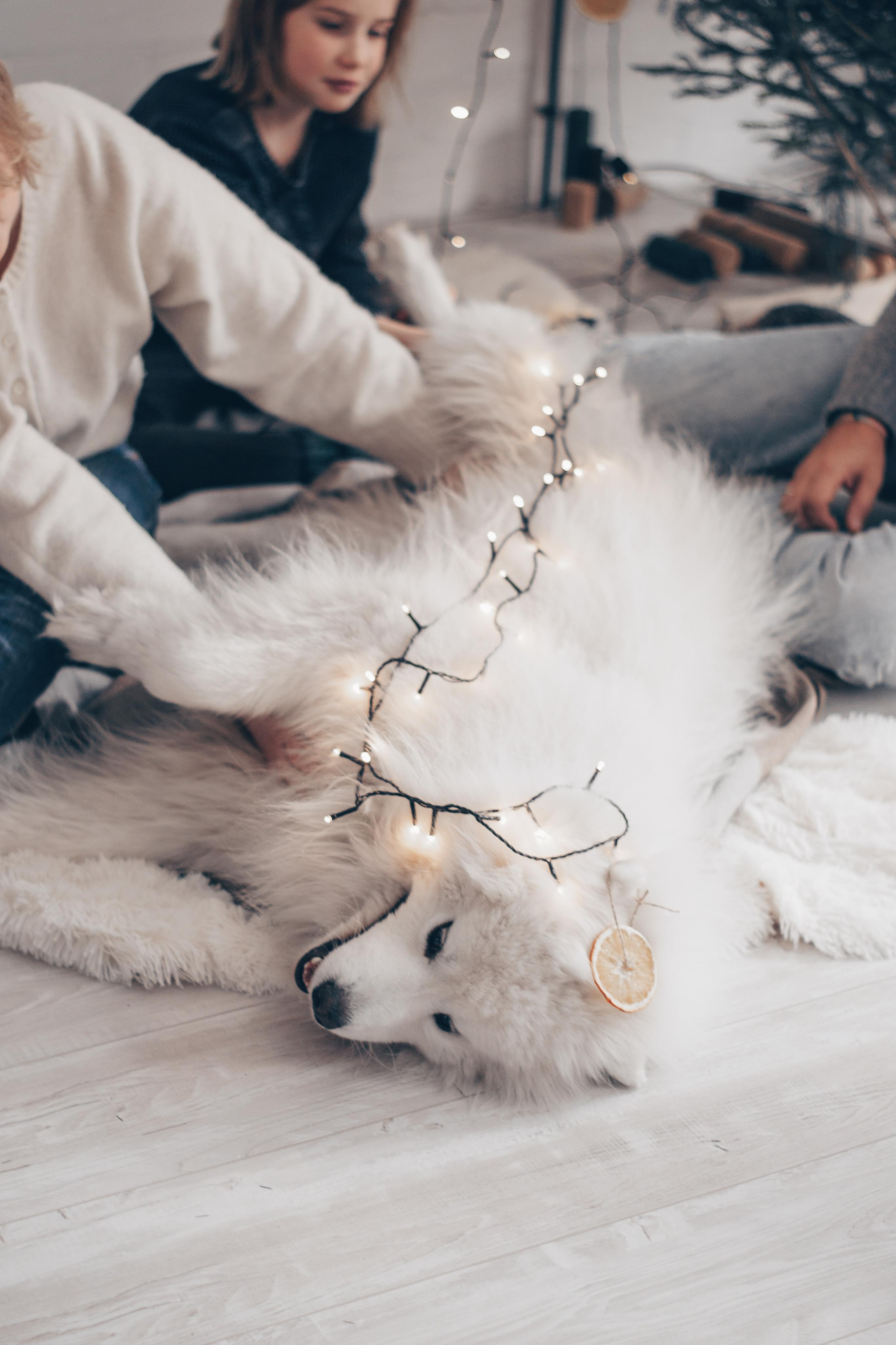 Семья Вадима и Вики. Семейный Lifestyle фотограф в Саратове Жанна Суркова