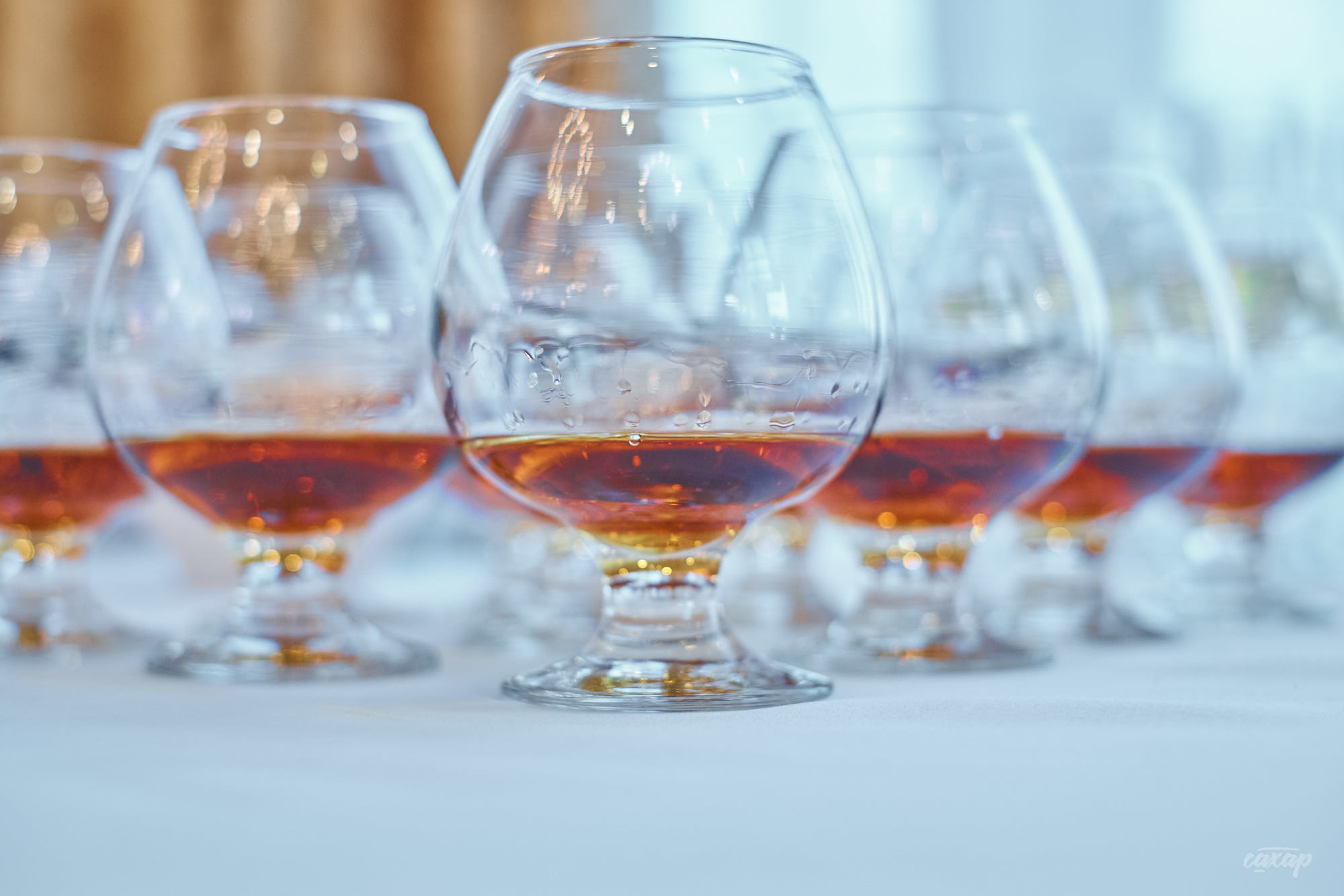 День рождение Сергея и Галины. Фотограф на банкет в Екатеринбурге Юра. Профессиональный фотограф в Екатеринбурге Юра Сахар