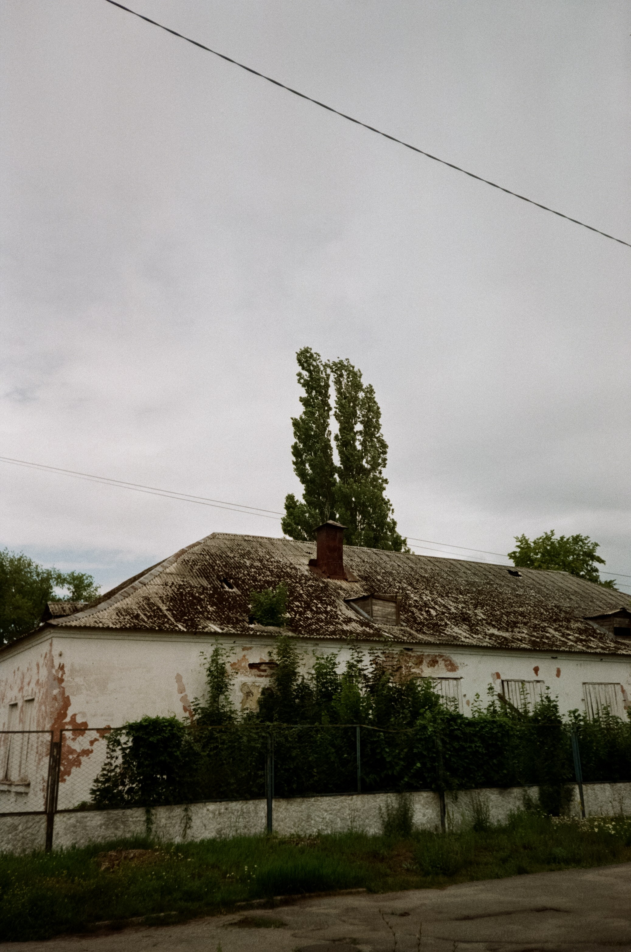 Танцующий лес на Куршской косе. Маяк и корабли в Балтийске. Фотограф-документалист Мария Осокина