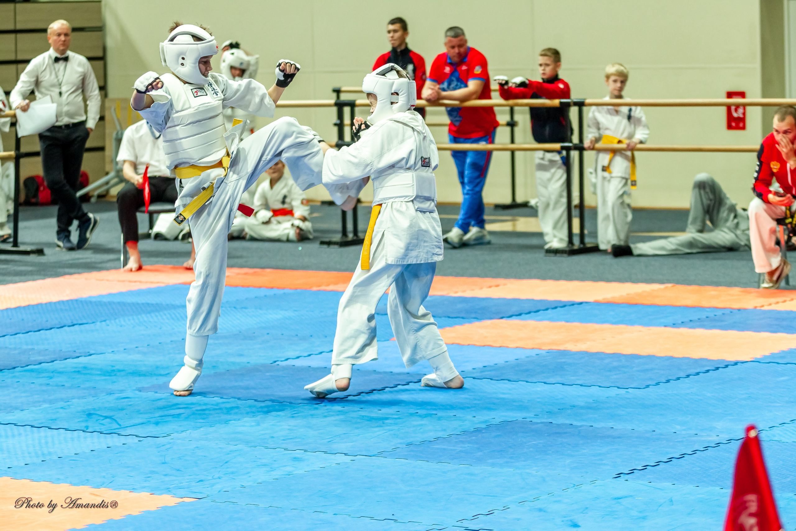 Первенство Московской области по Киокушин в СК «Жаворонки». Репортажная съемка в Москве и области. Анималистика