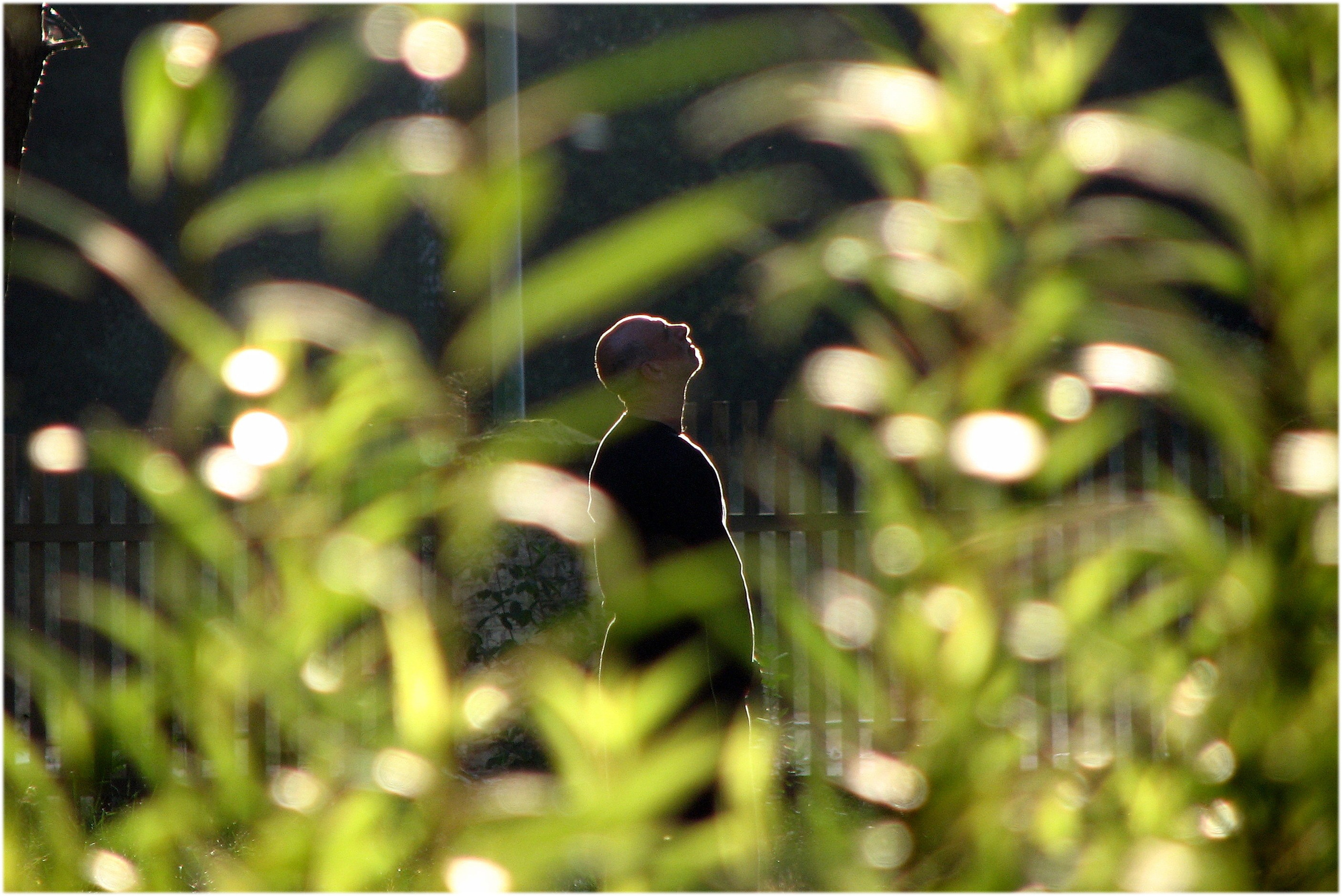 лето.утро.созерцание