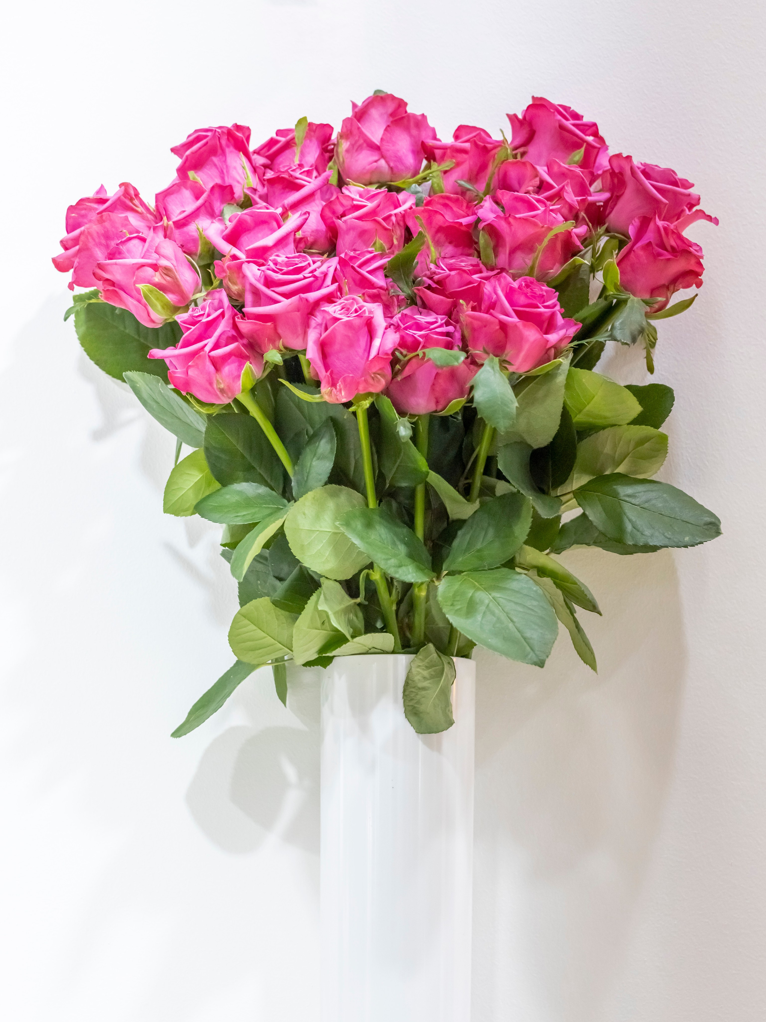 Цветы-Экспо 2023. Фотосессии и репортаж — Фотограф в Москве — Рина Серёгина