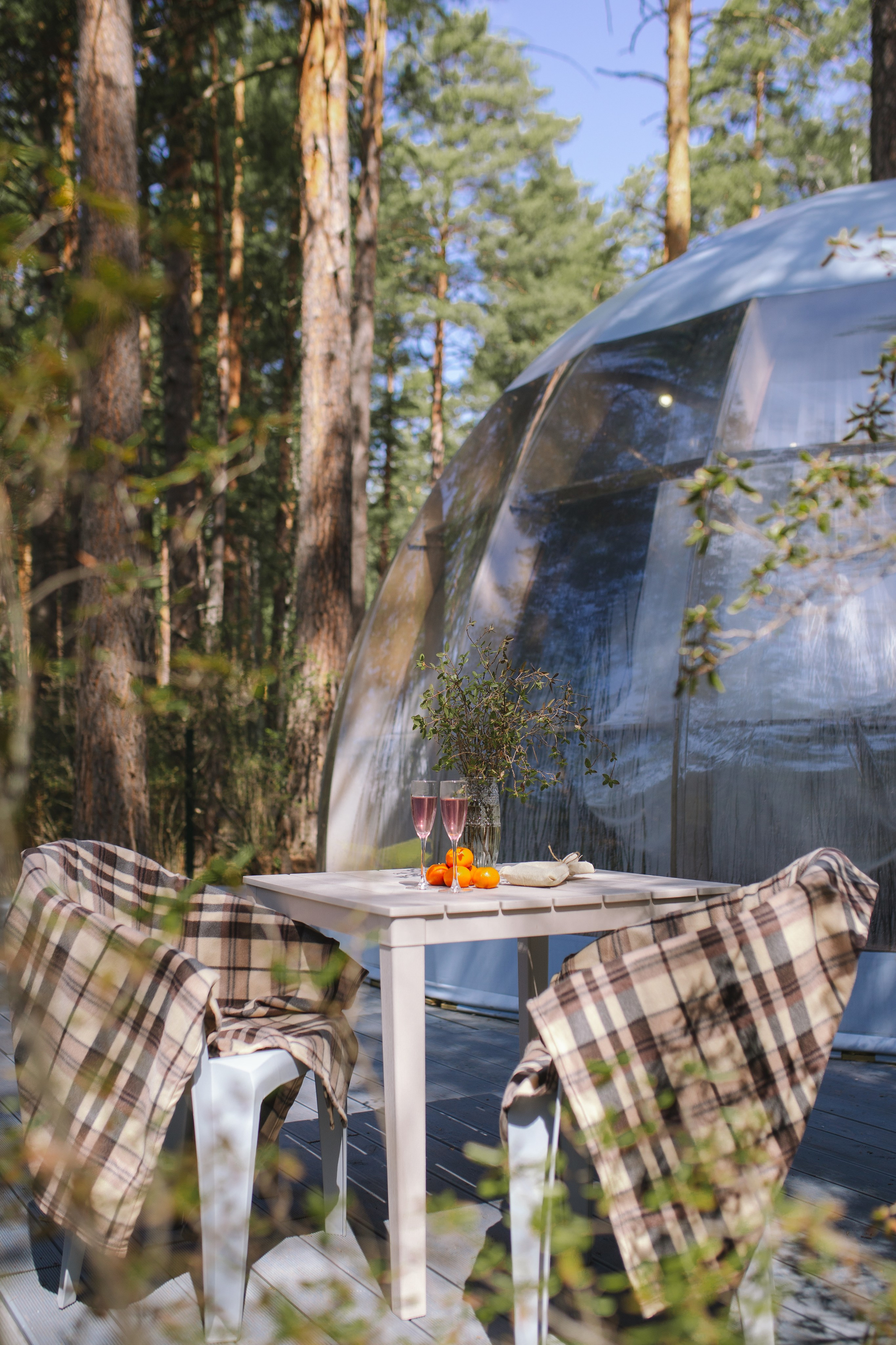 Контент для отелей. Фотограф Горный Алтай