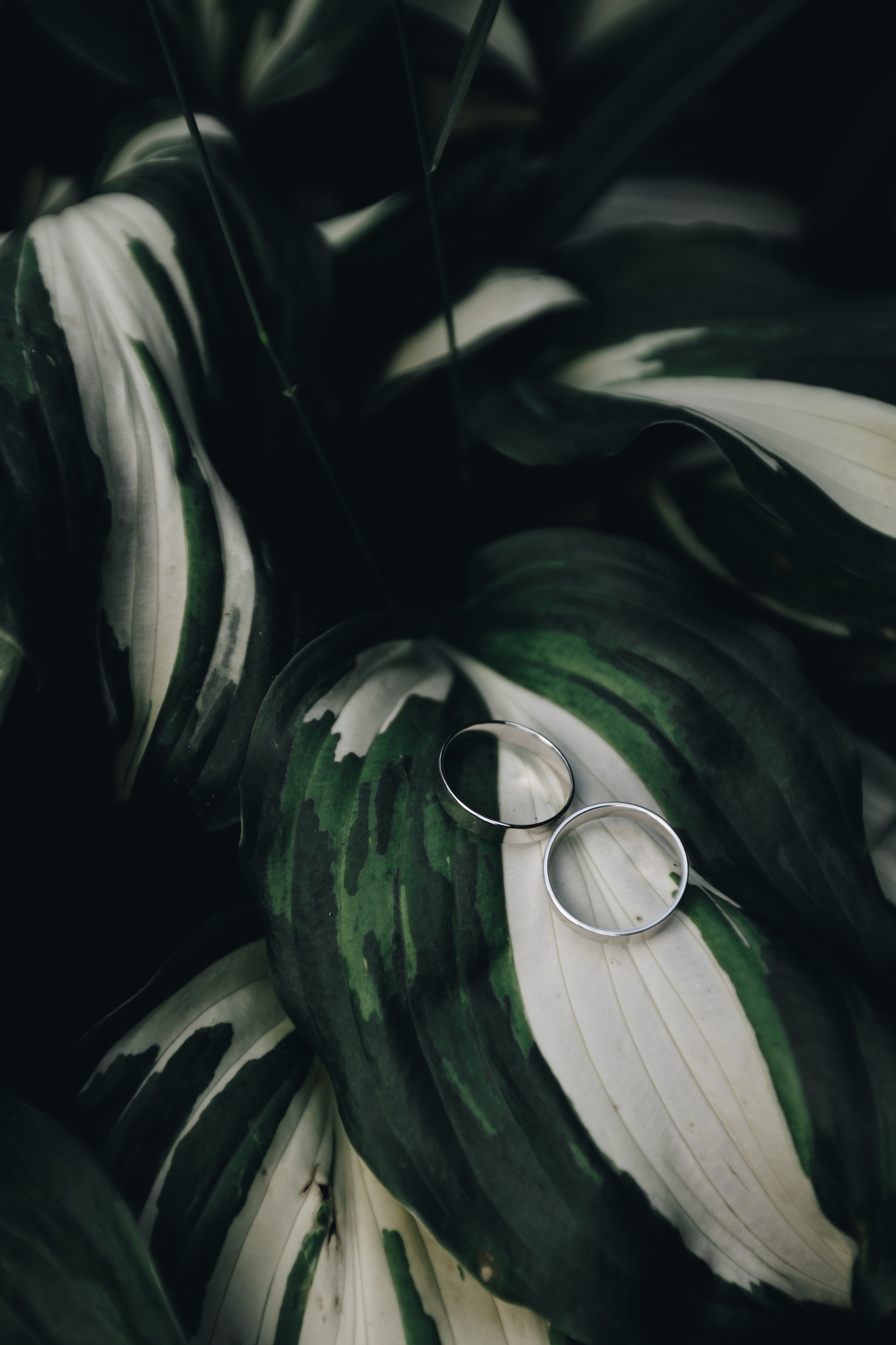 В+В. Свадебный семейный фотограф и видеограф Гомель Минск Беларусь Европа