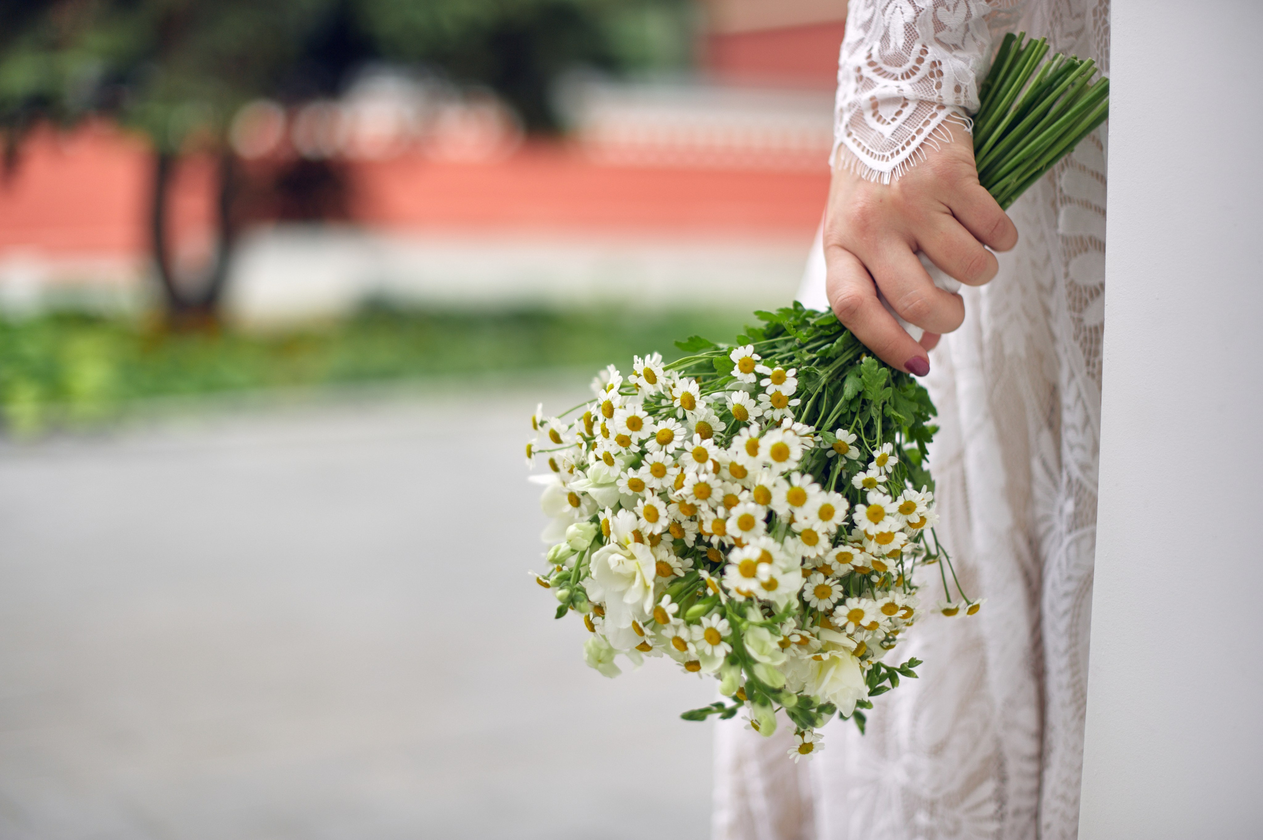 Анонс свадьбы Сергея и Марии — 2025. Дмитрий Черяник свадебный и семейный фотограф