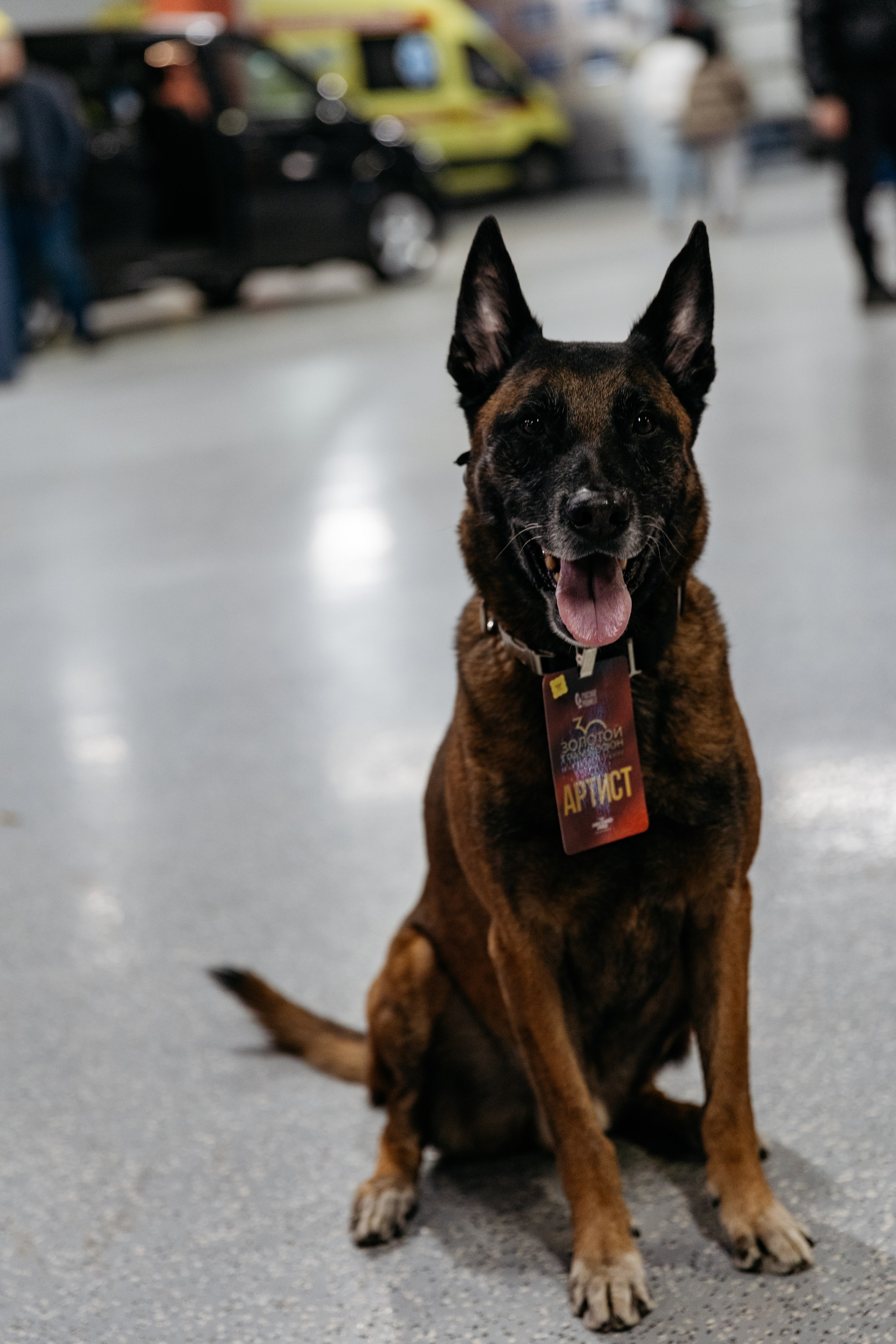 Золотой граммофон 2026 (backstage). Свадебный и репортажный фотограф в Санкт-Петербурге
