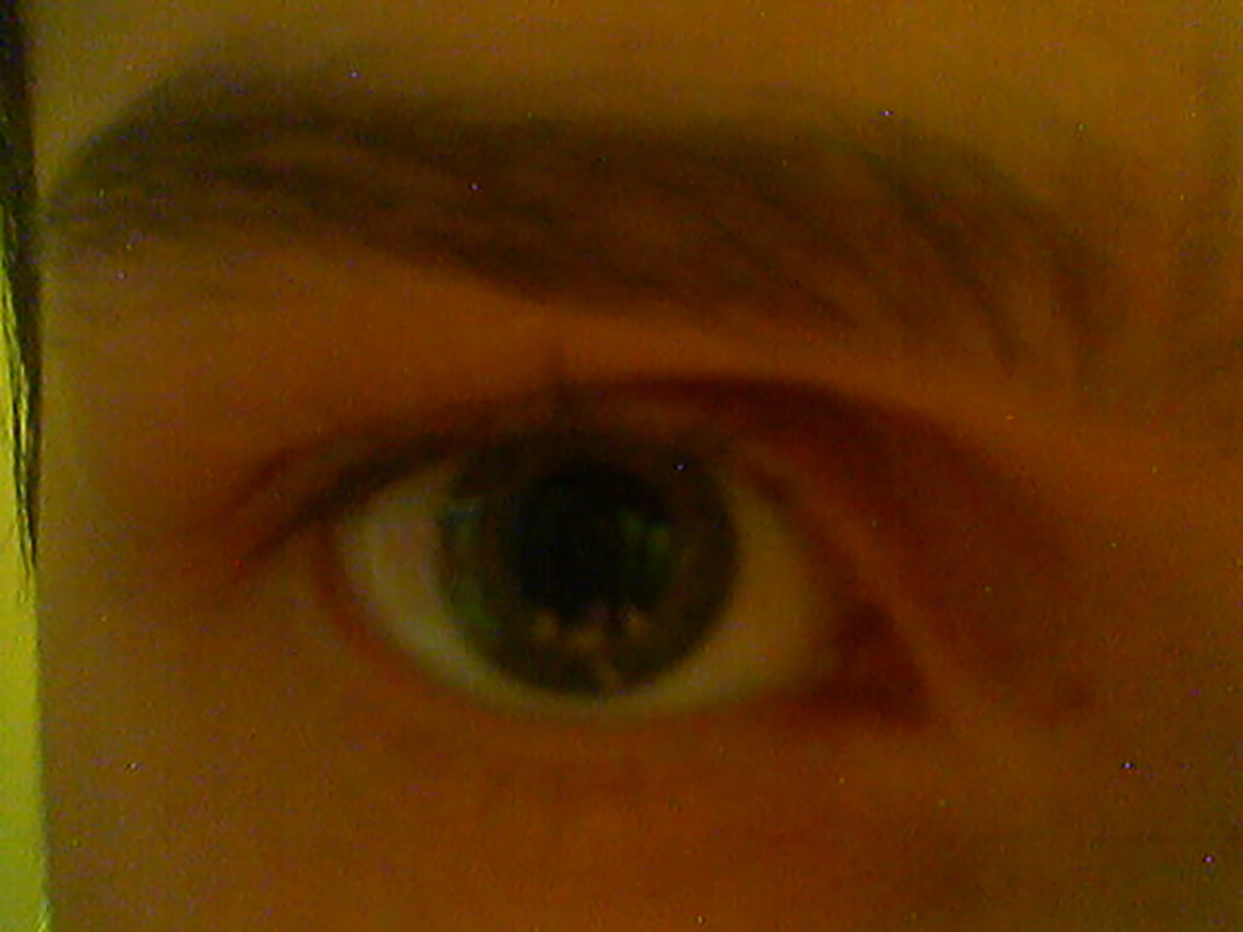 Обо мне. Фотограф Петр Копылов. Кемерово. Сибирь. Россия