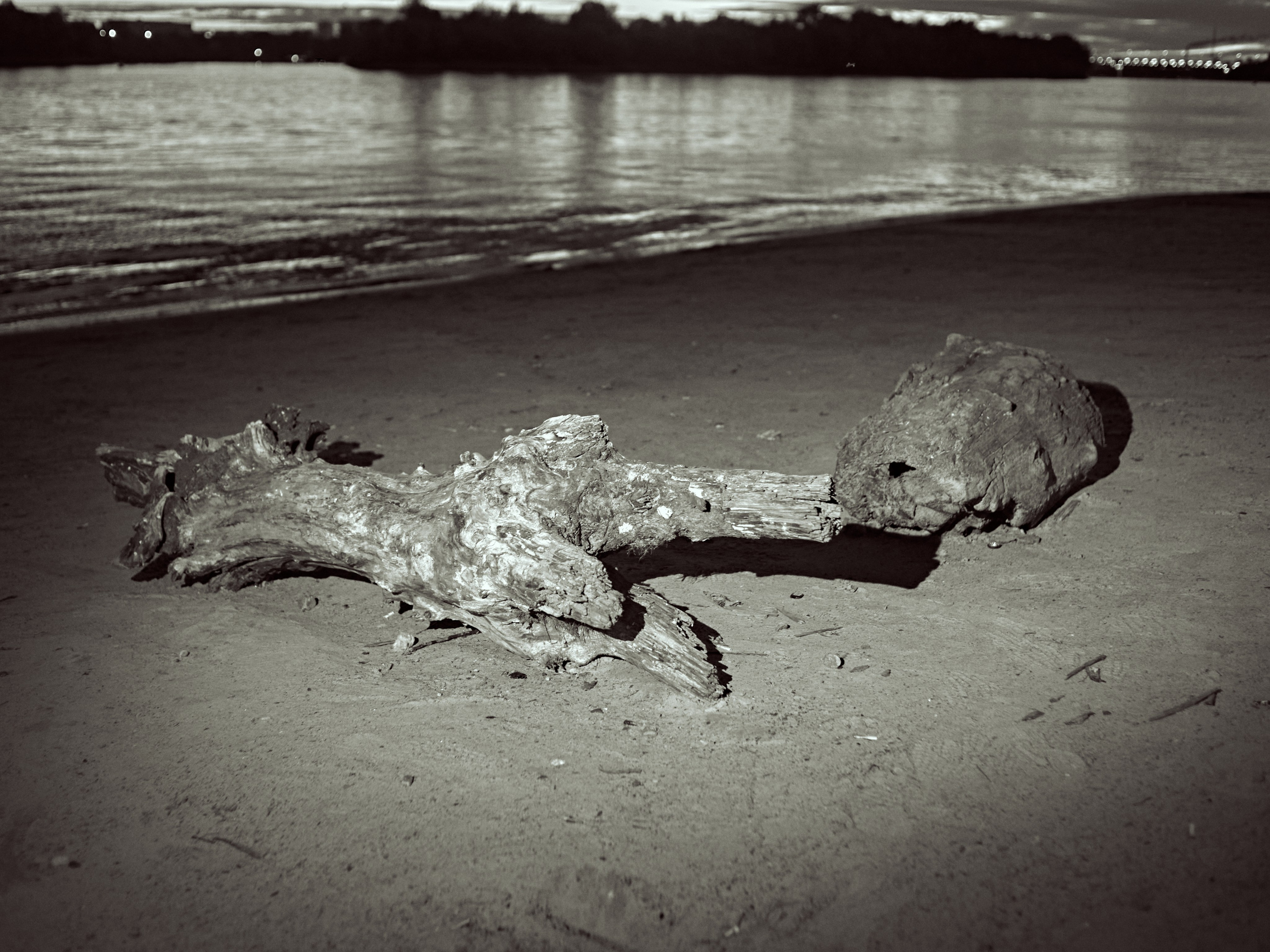 2024. Марфин. Фотограф