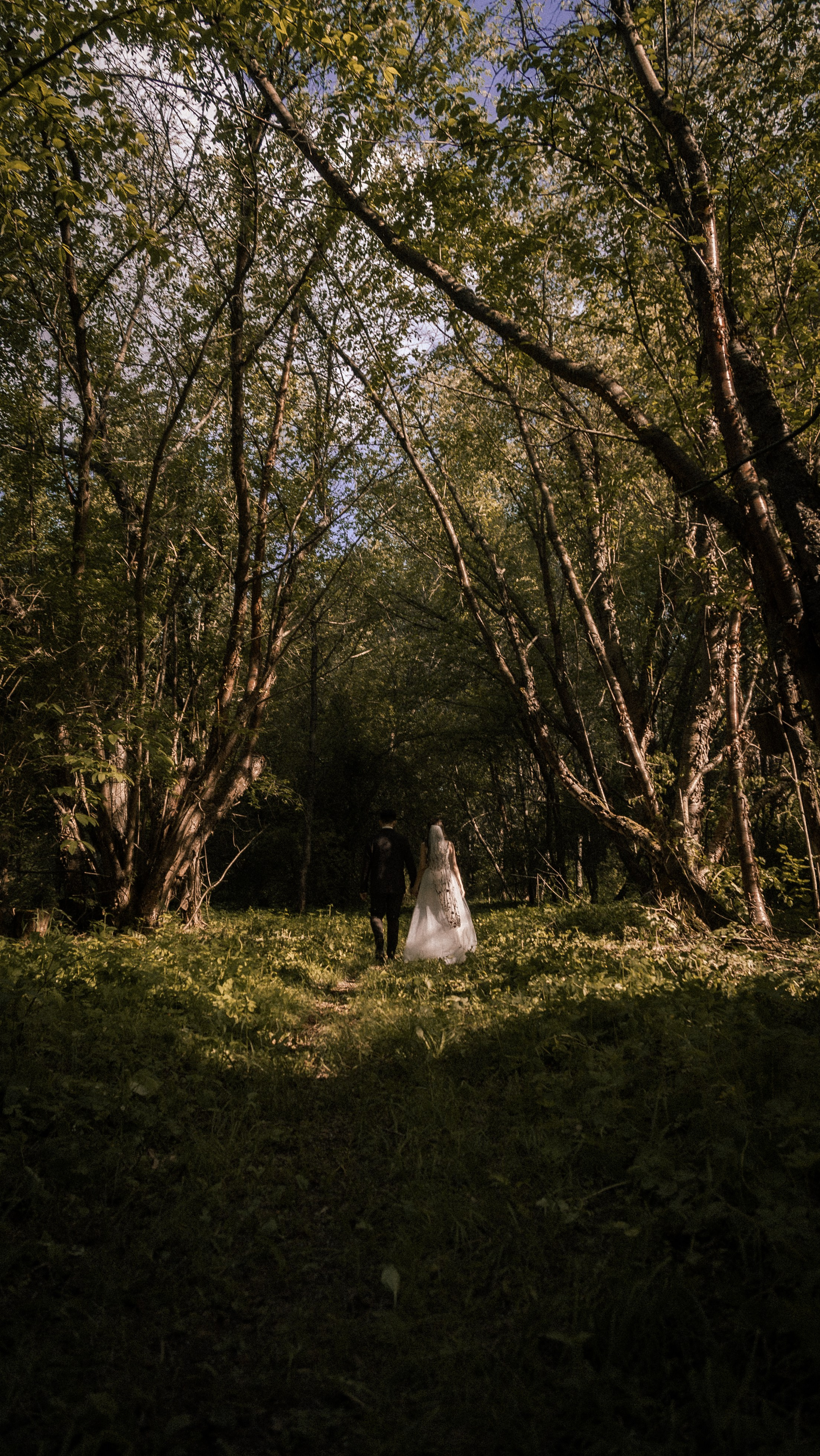 Алина и Арсений. Фотограф и видеограф Андрей Кукишев