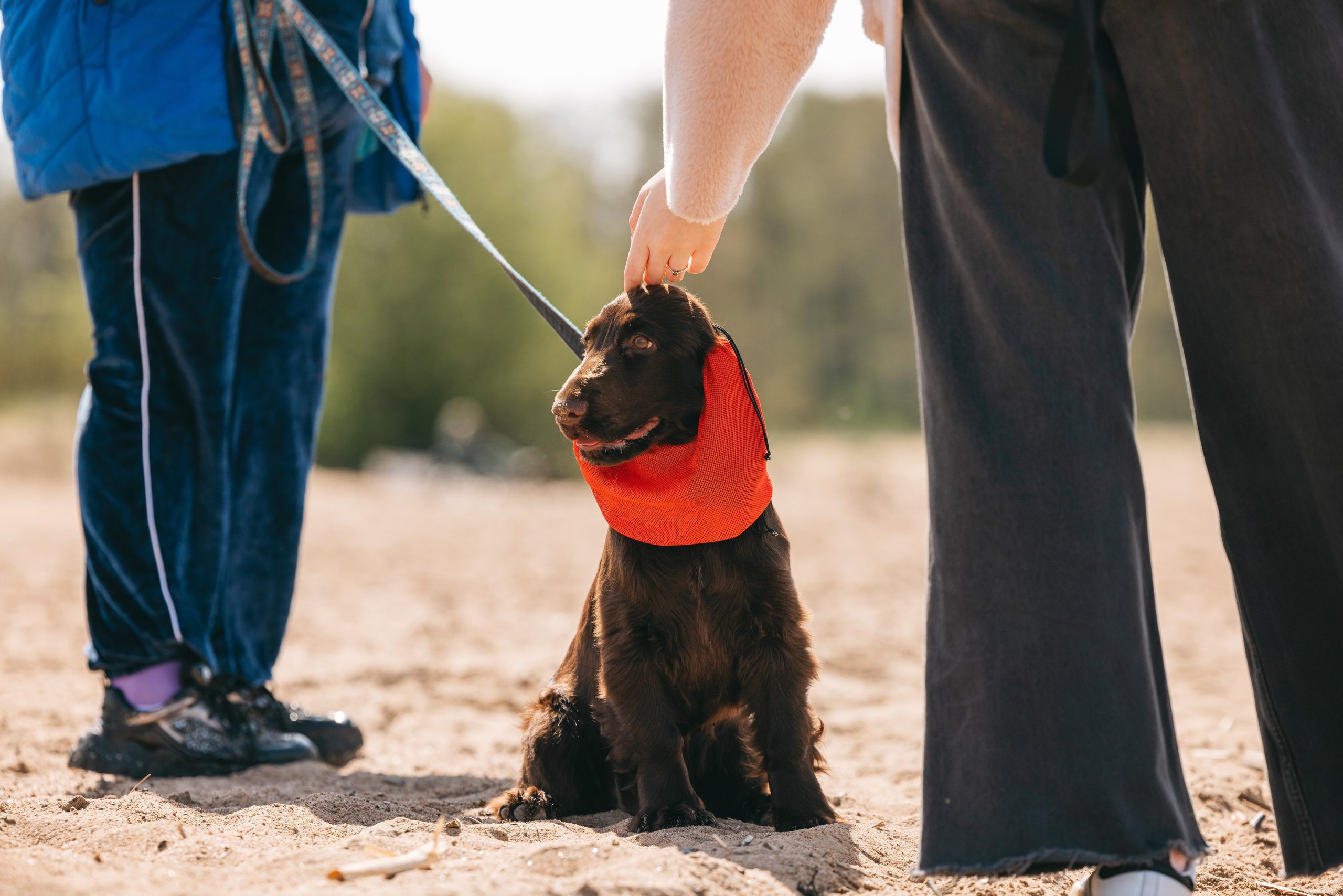 Спанимания. Фотограф анималист Осипчикова Мария