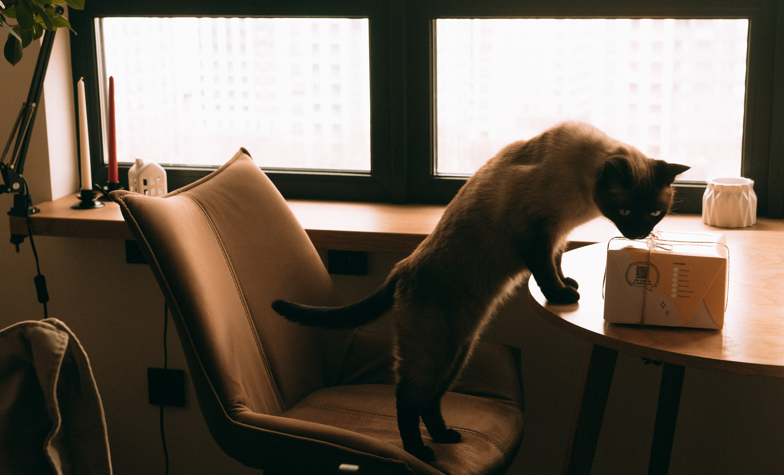 Василисе 1 месяц. Семейный, ньюборн фотограф, фотограф на роды в Москве, Виктория Тюльдюкова