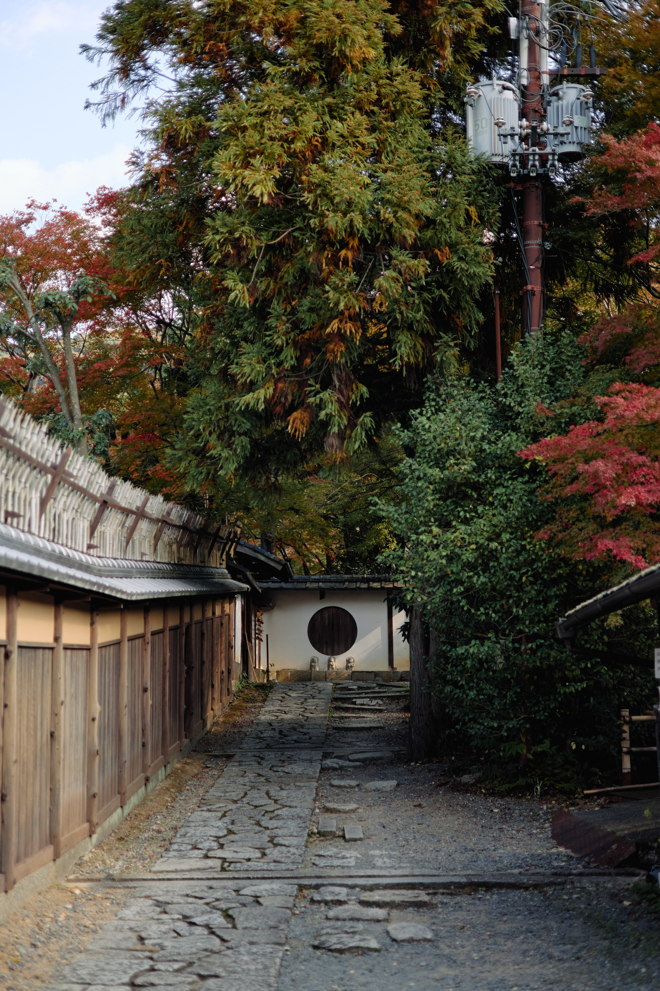 Япония. Профессиональный Фотограф во Владимире, в Москве и в Суздале — Полина Романычева