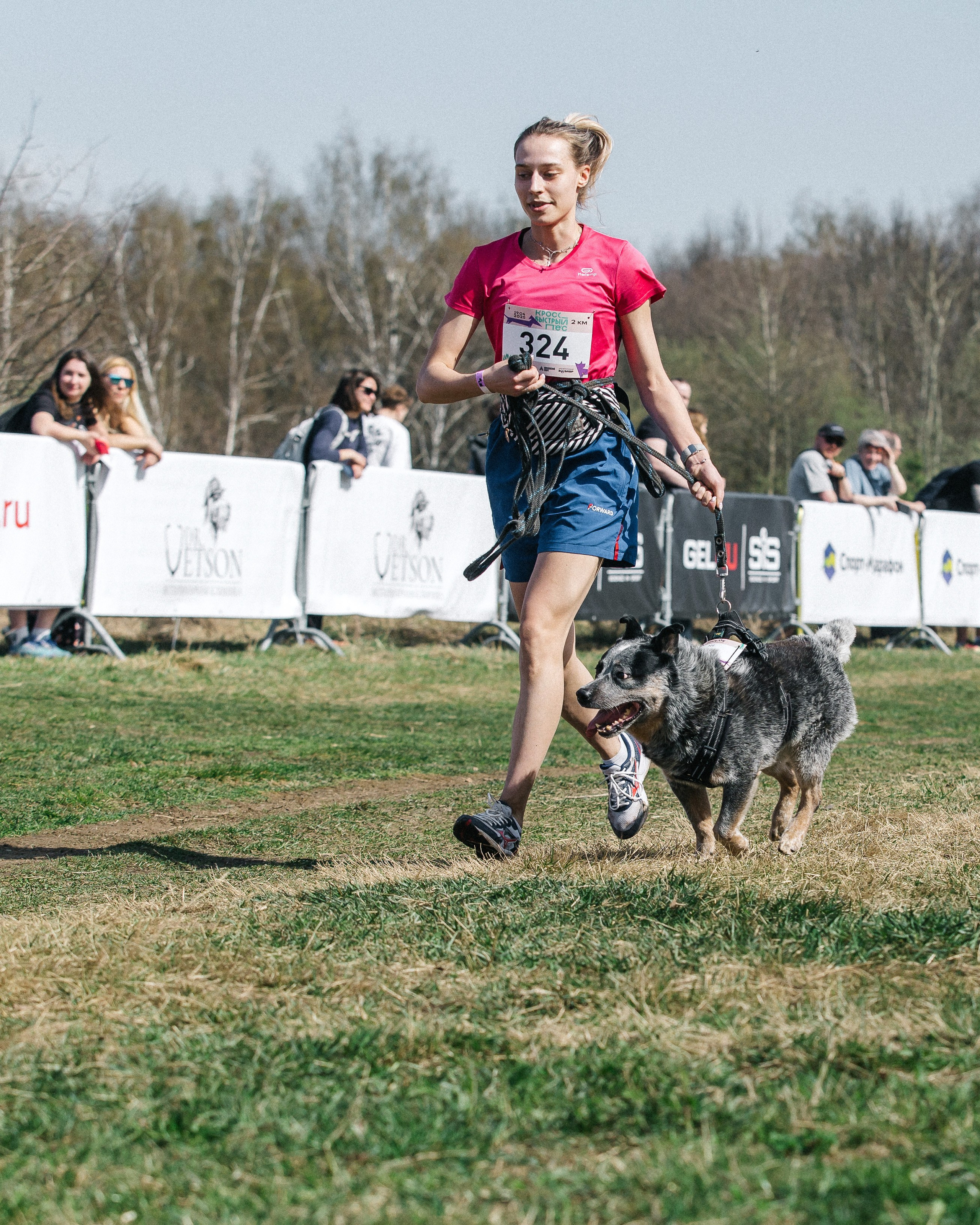 Кросс «Быстрый пёс» 2025. Репортажный фотограф в Москве