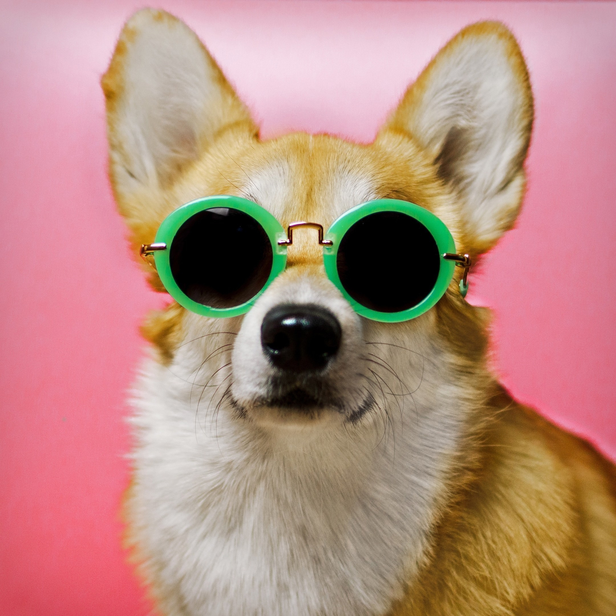 Обучение. Фотограф Людмила Оюн