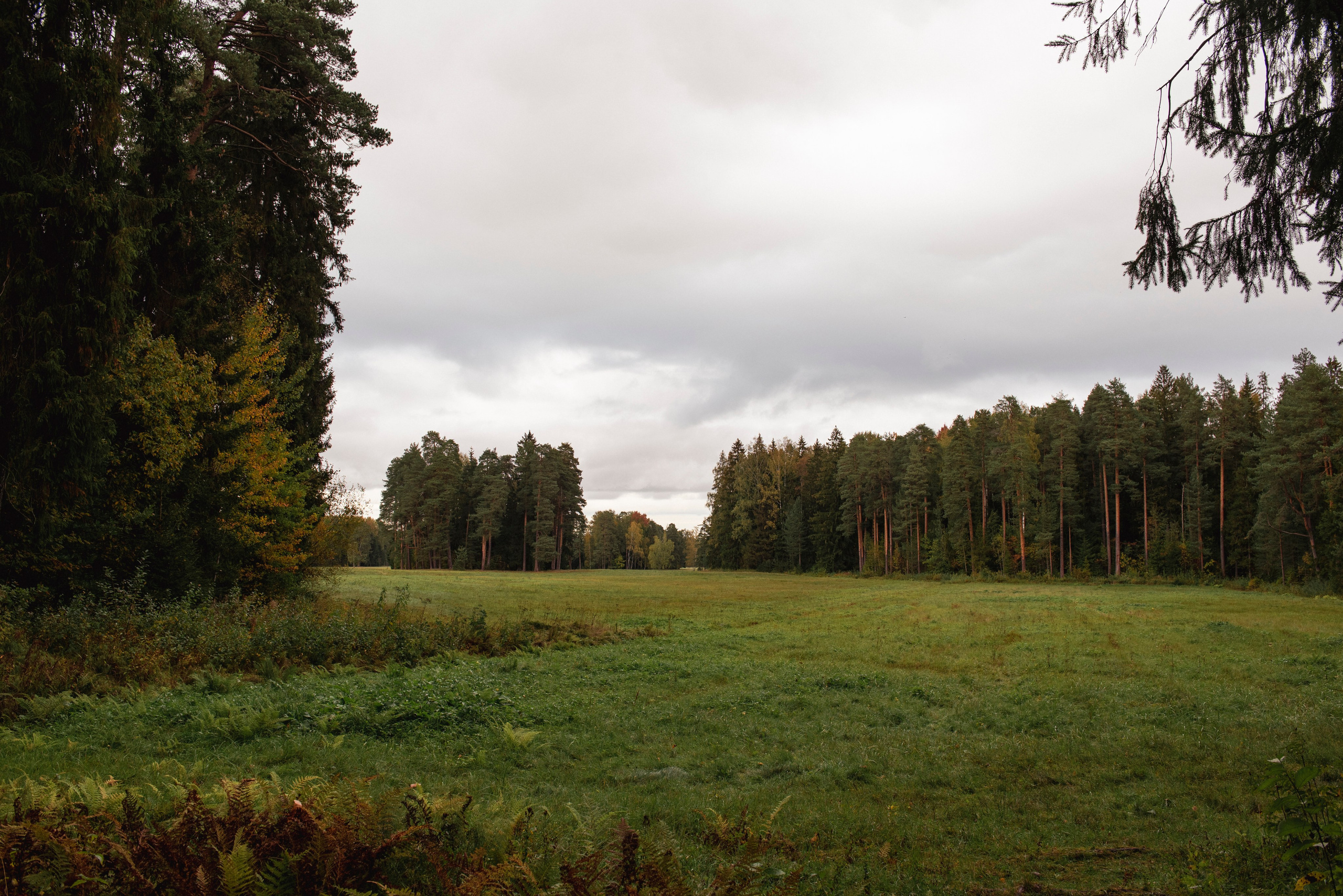Павловский парк. Портретный и архитектурный фотограф в Москве и Санкт-Петербурге