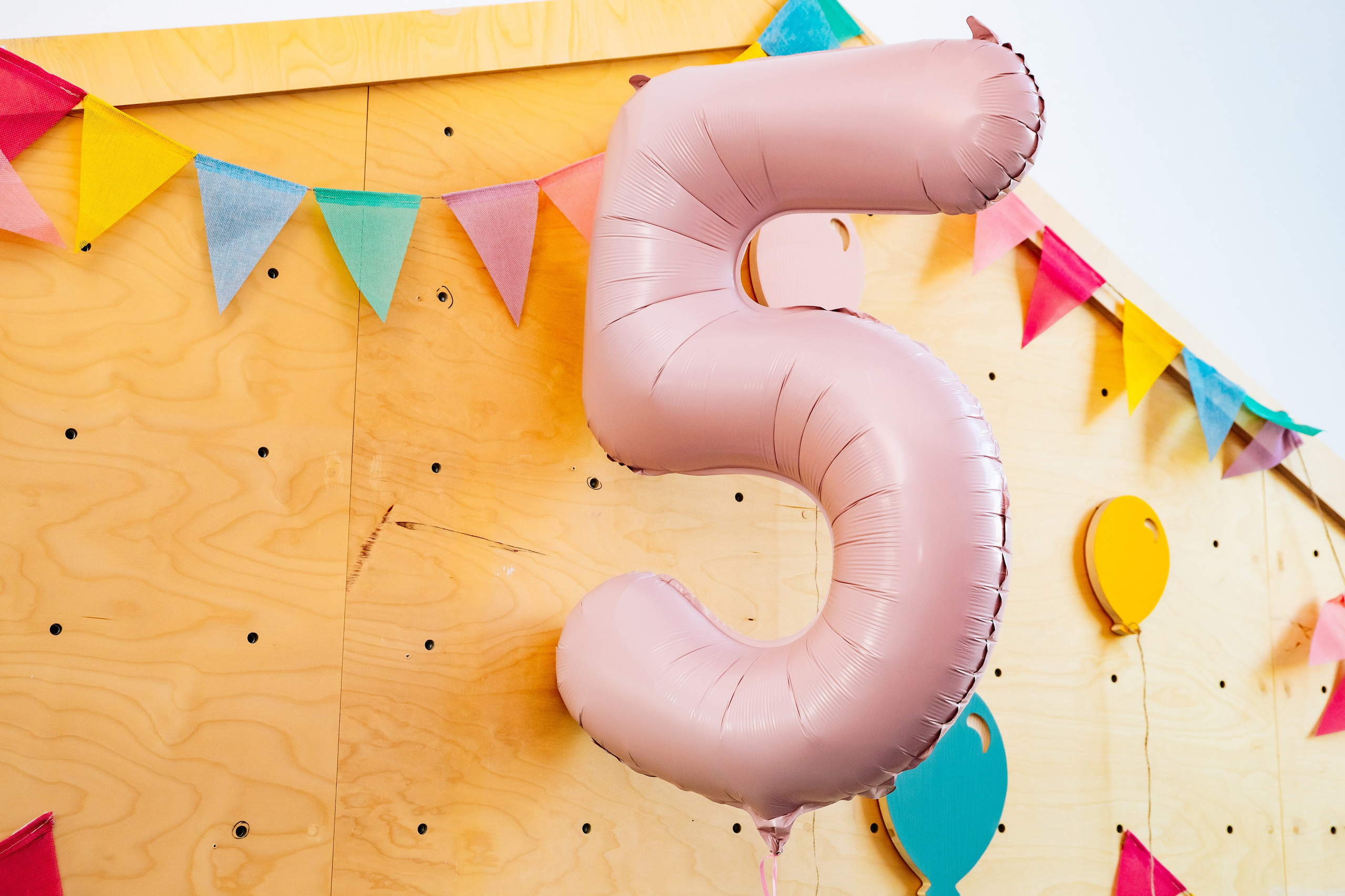 С Днем Рождения, Варвара!. Фотограф в Москве Яна Полосина