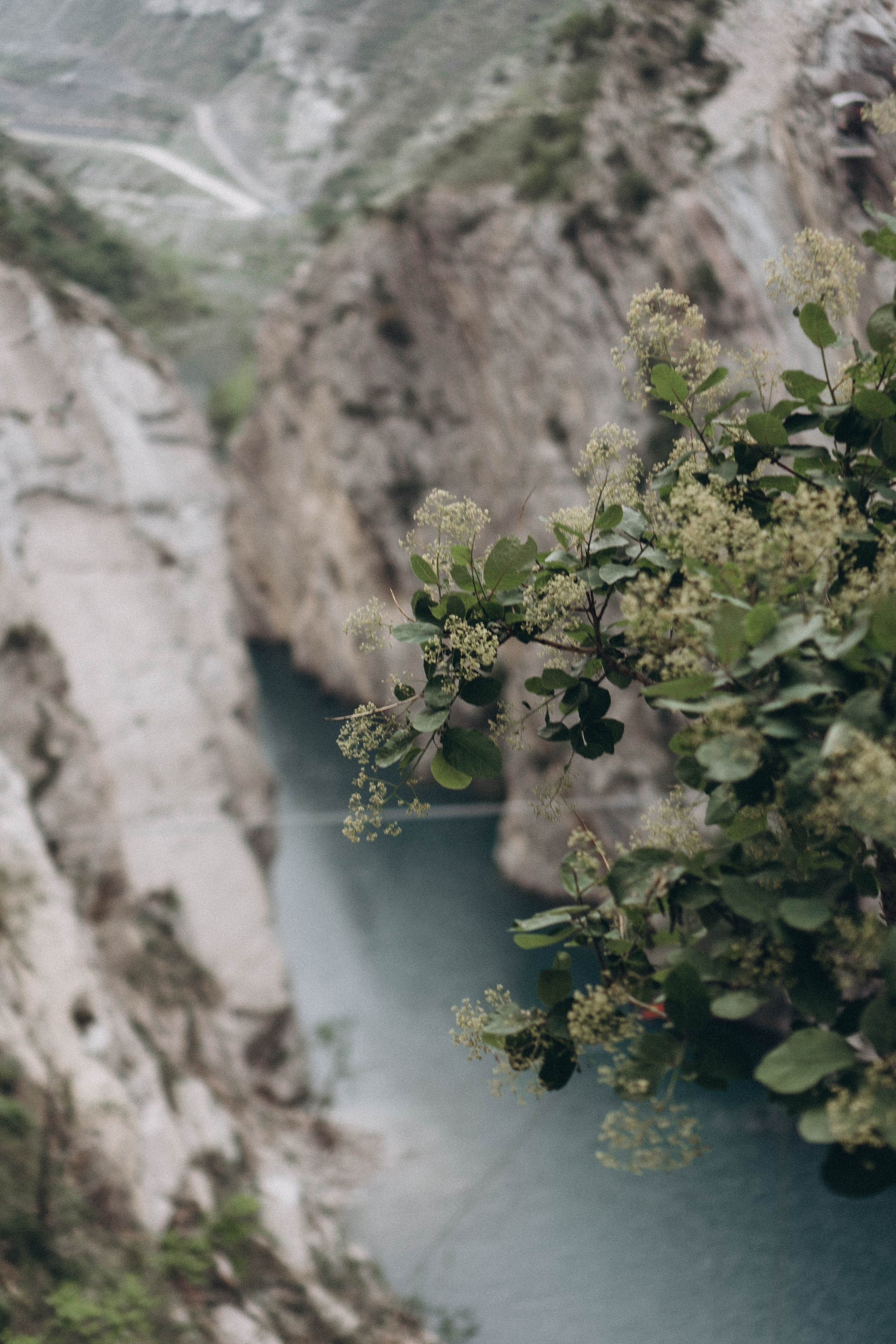 Кавказ. Профессиональный фотограф, Санкт-Петербург — Виктория Богомолова