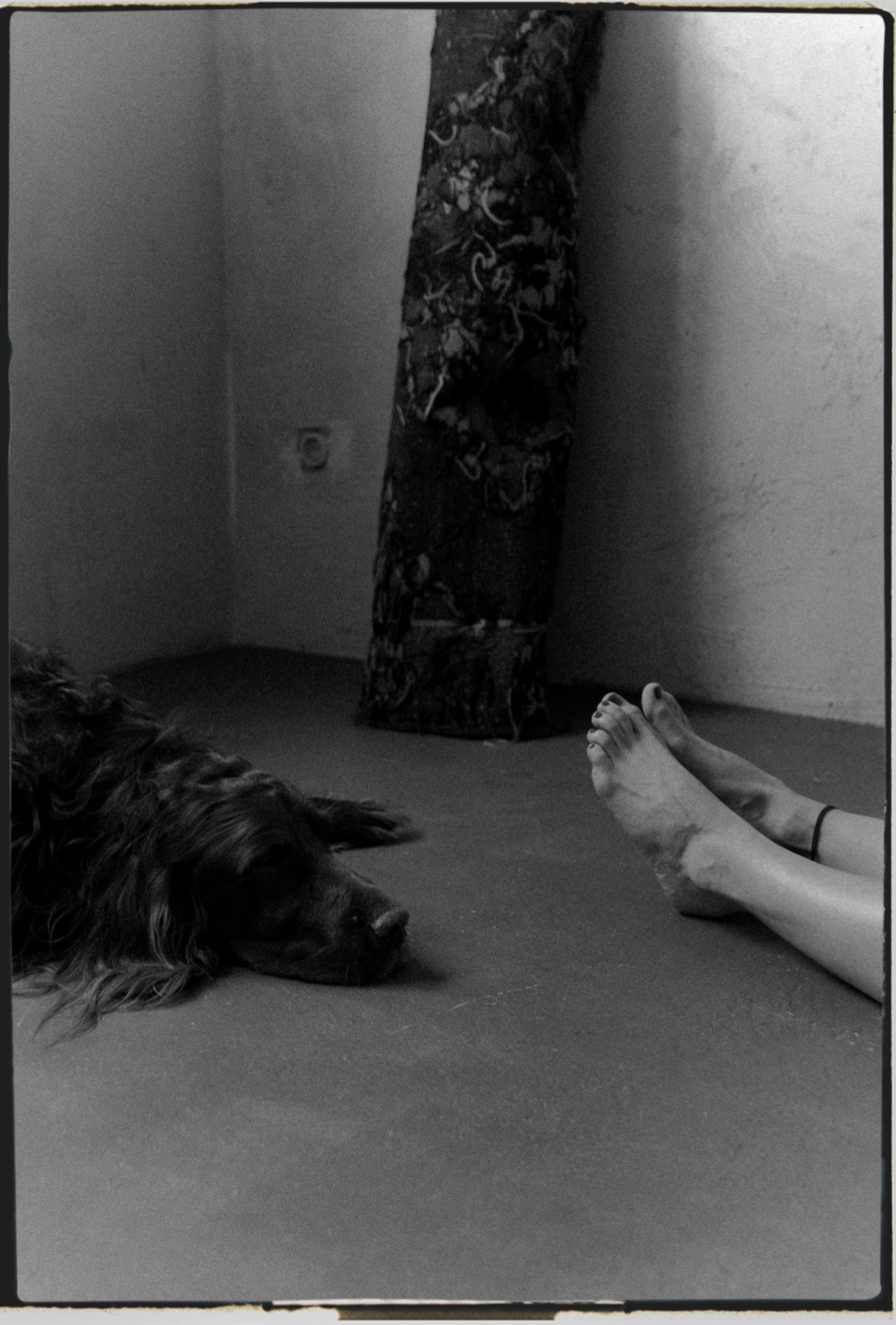 Elena Raya • Photographer