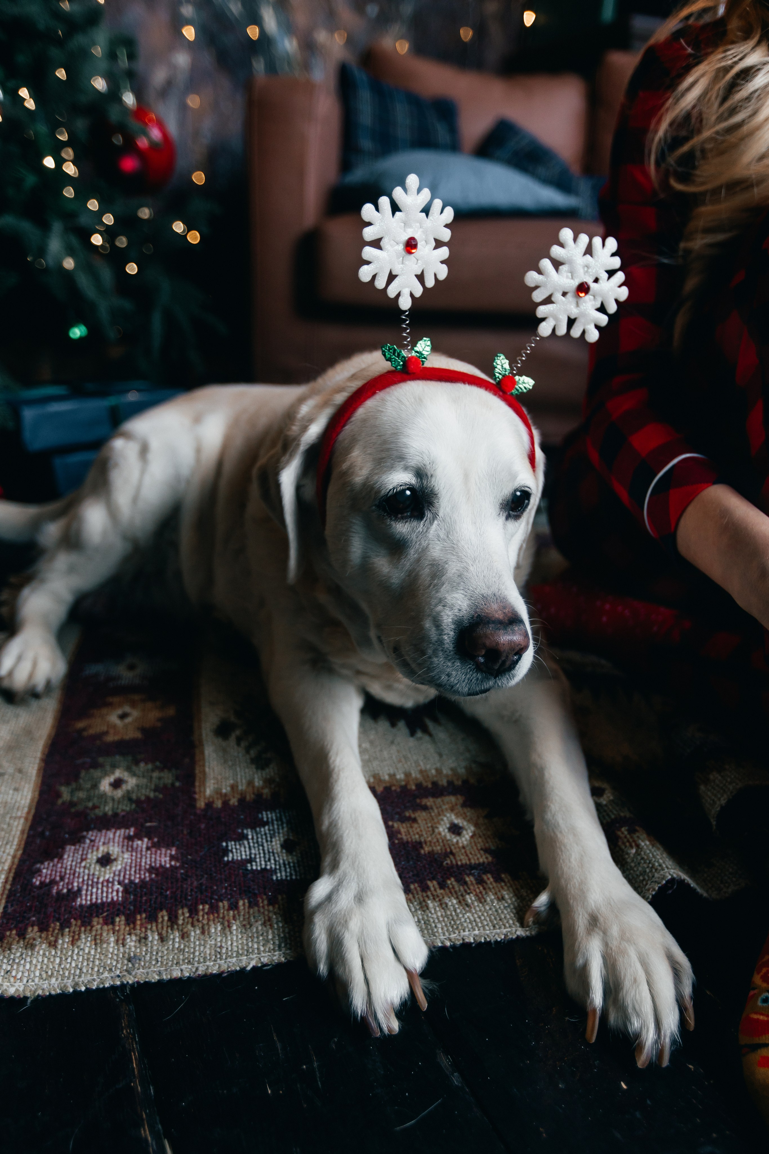 Новогодние фотопроекты. Свадебный и семейный фотограф в Нижнем Новгороде и Москве Сергей Полян