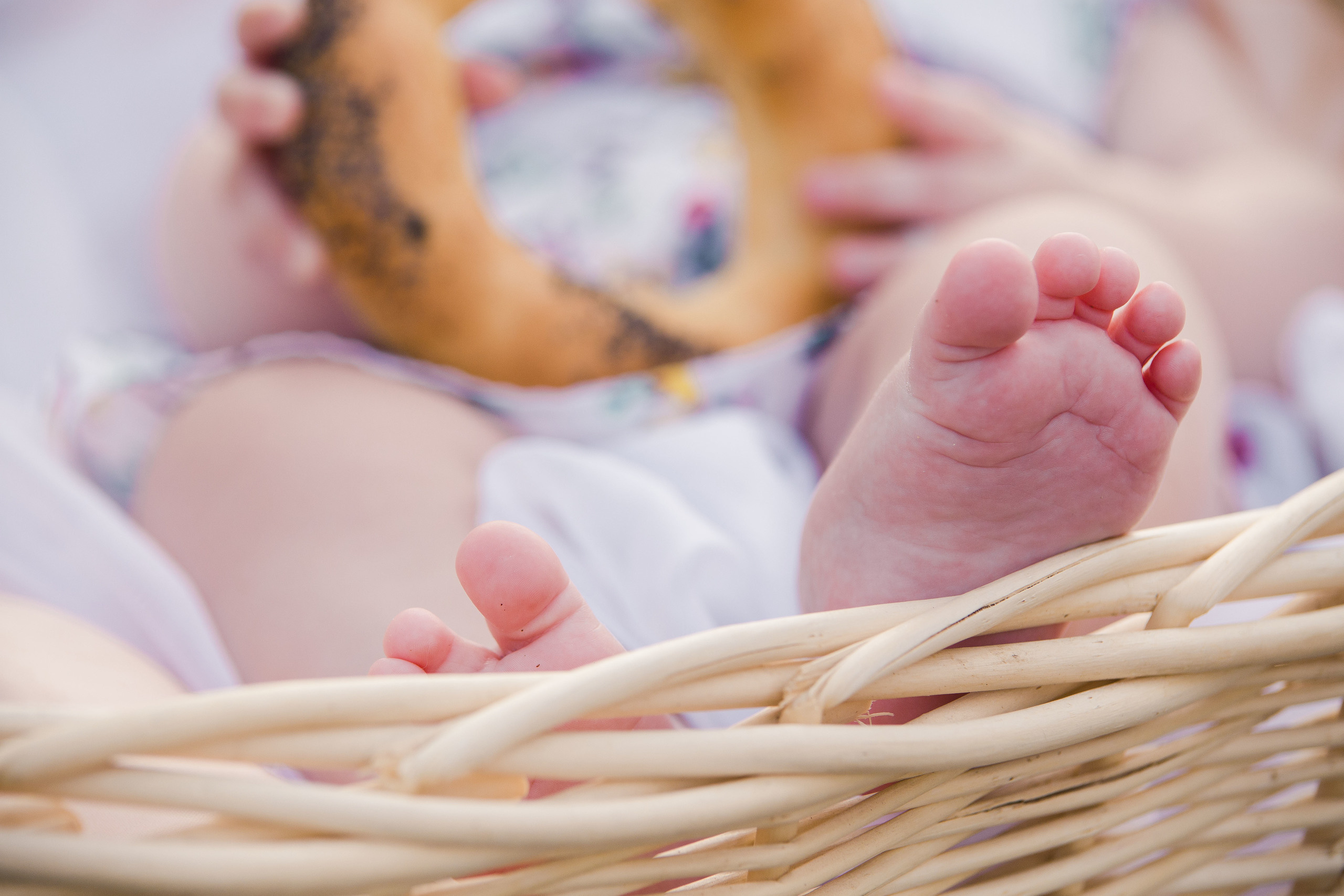 СЕМЕЙНАЯ СЪЕМКА. Выпускные альбомы Edi ART