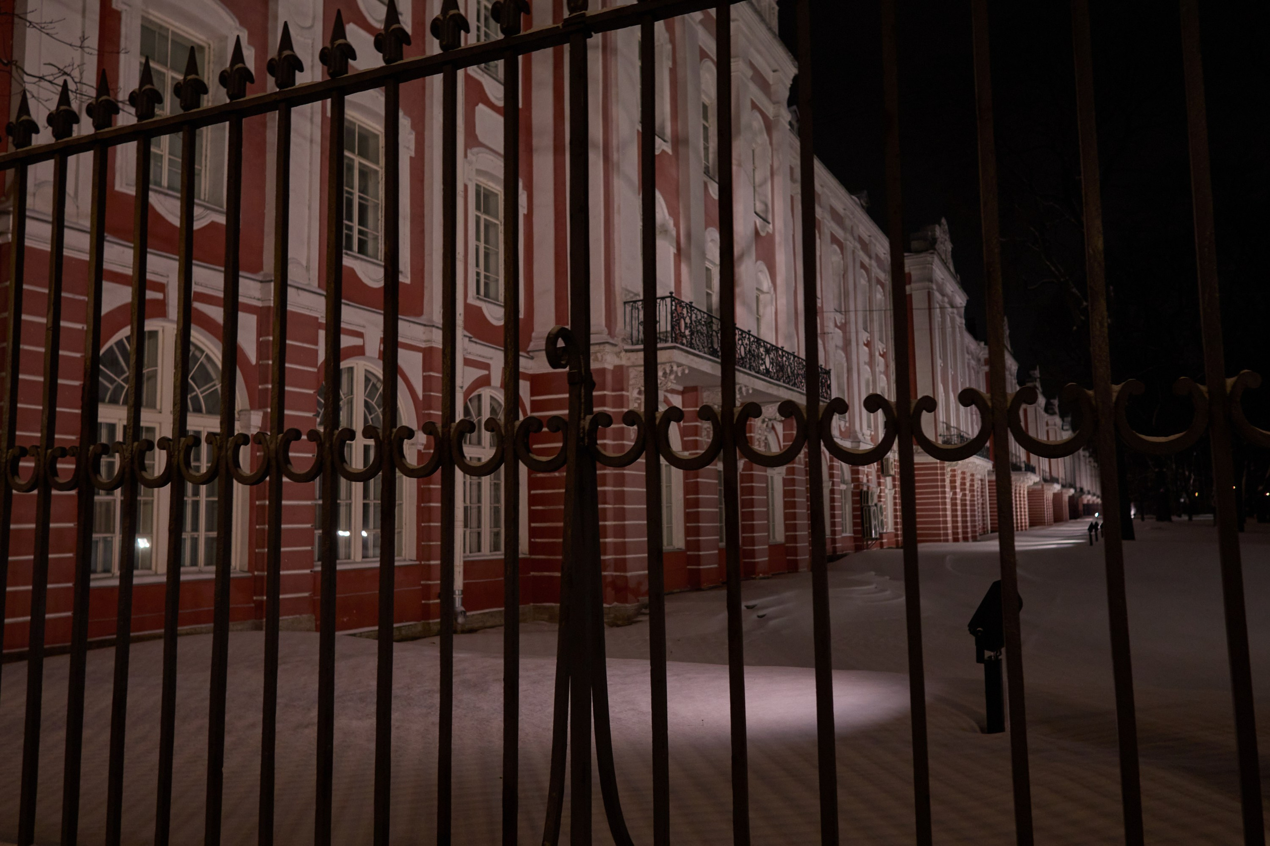 Рождество въ Санктъ-Петербургѣ. Фотографъ Сергѣевъ. Поймать мгновеніе