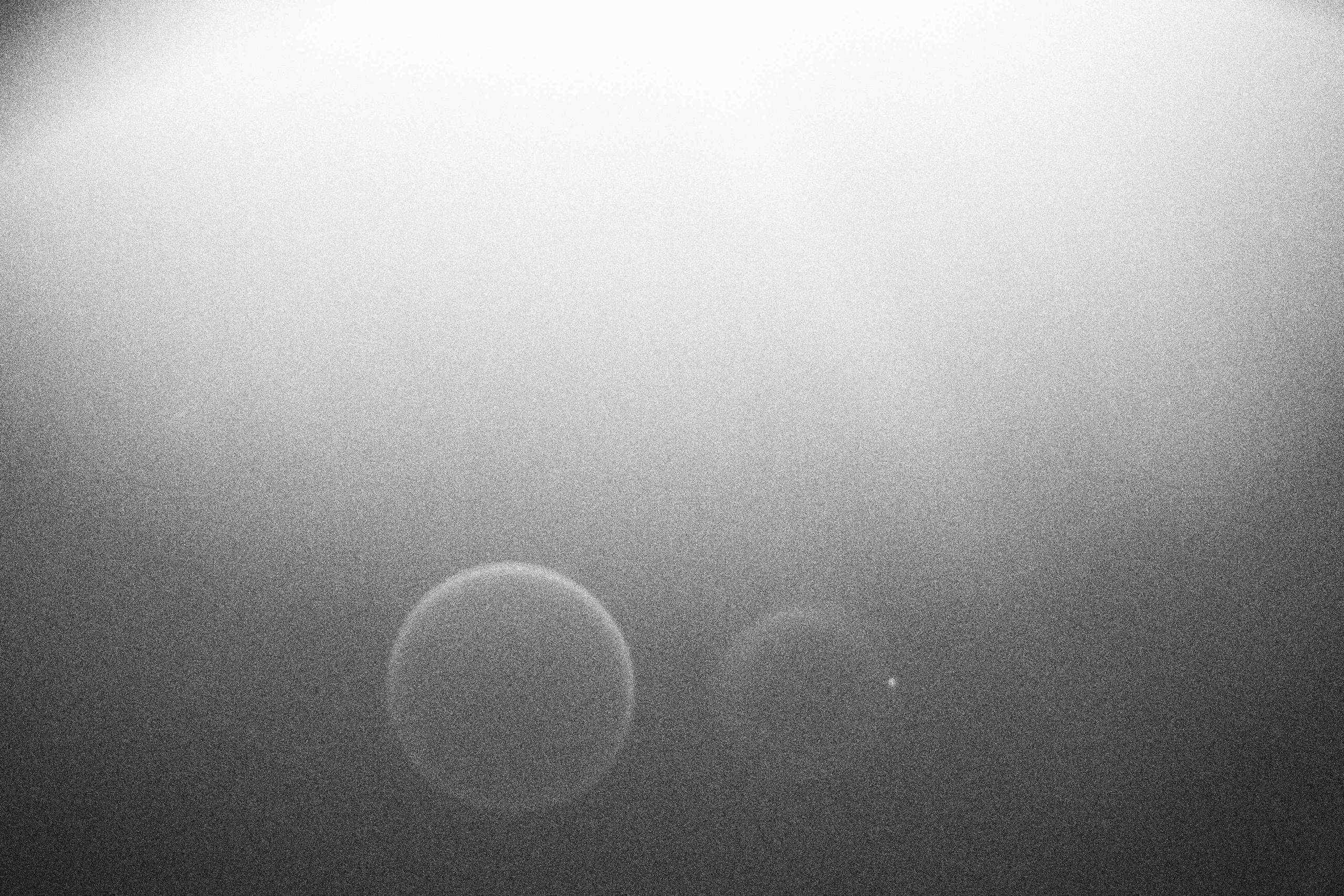 «Видеть. Чувствовать. Сохранять»