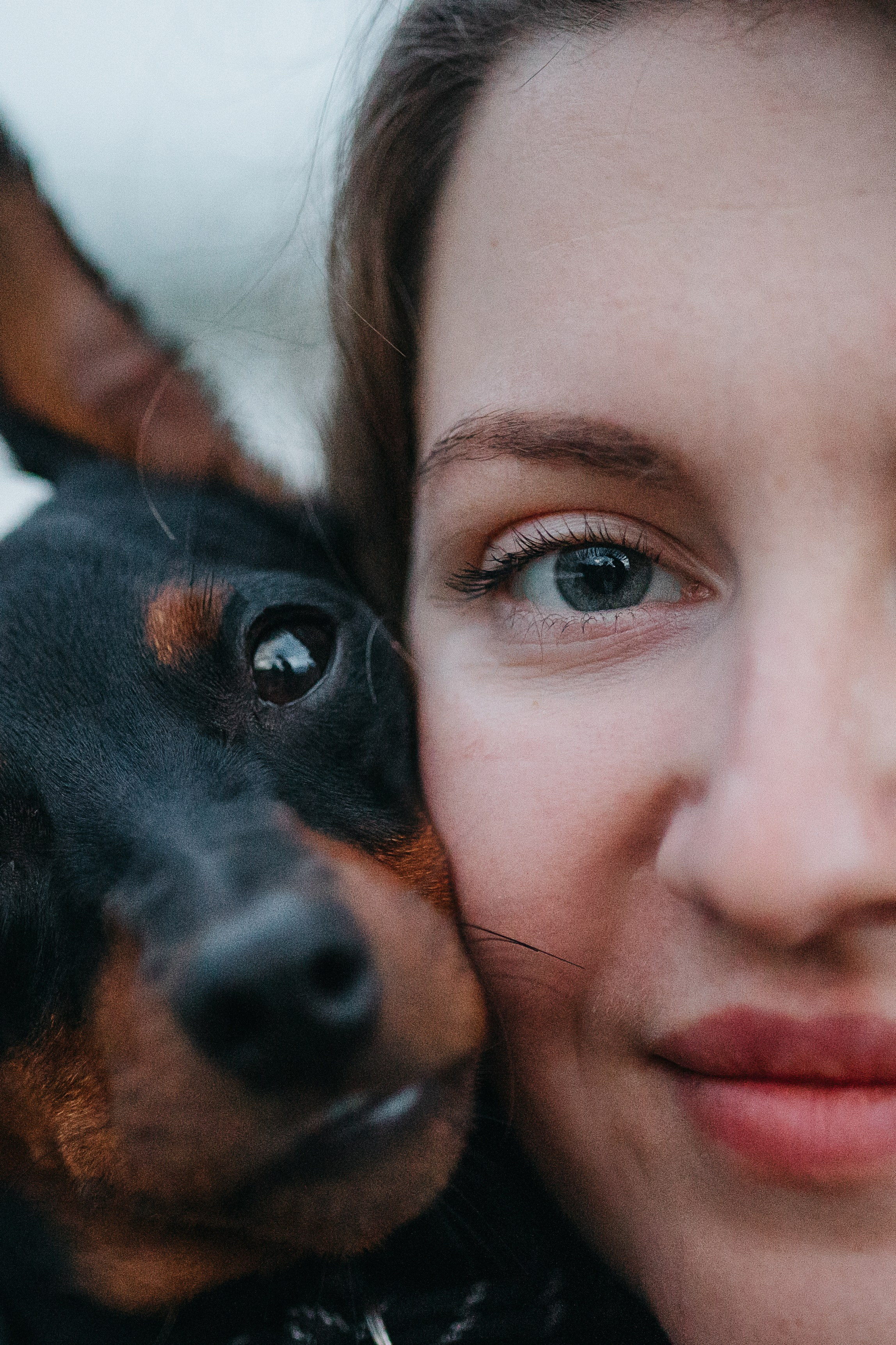 Сириус и его семья. Фотограф — Анималист | Санкт-Петербург
