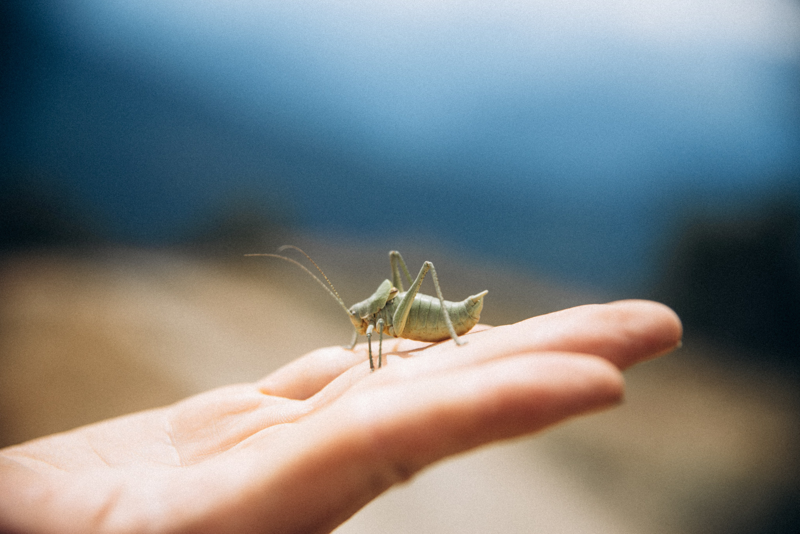 Сванетия, Грузия 🇬🇪. Anita_photo