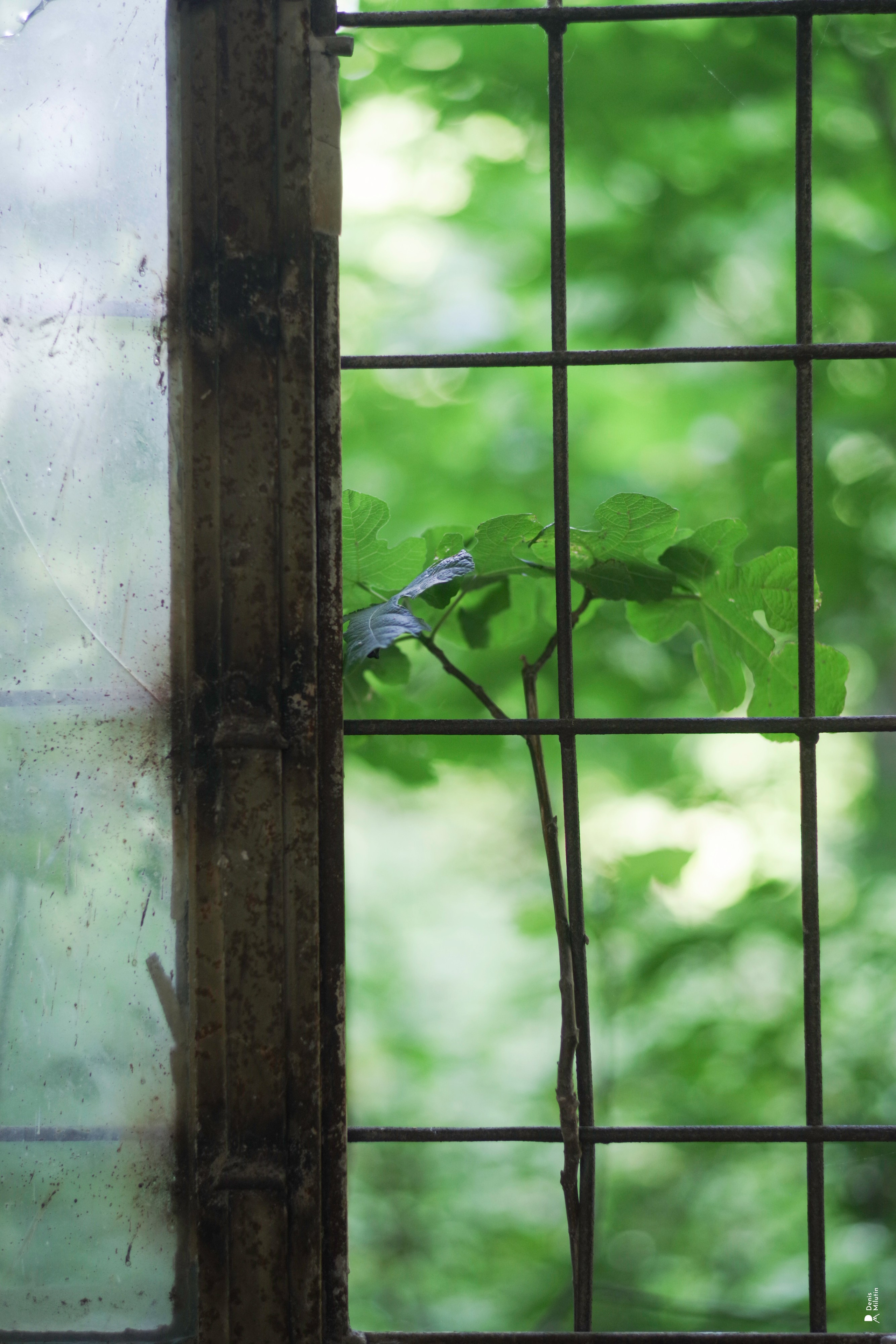 В отпуске с Артёмом. Портретный фотограф Денис Милютин