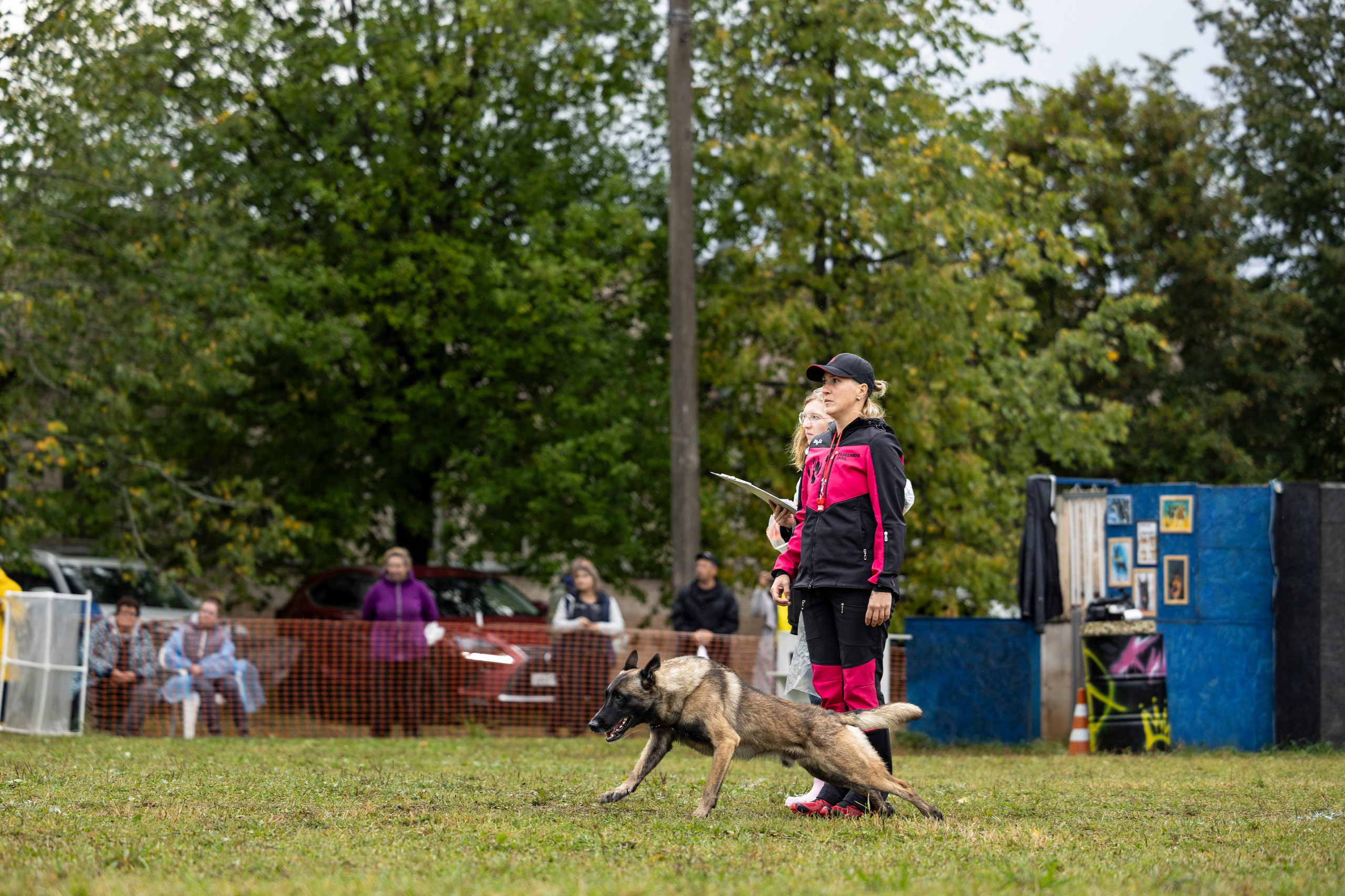 Испытания по Мондьорингу г. Пушкин. Фотограф-анималист Анна Маринич